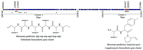 PDF) Structural and Biochemical Characterization of AaL, a Quorum