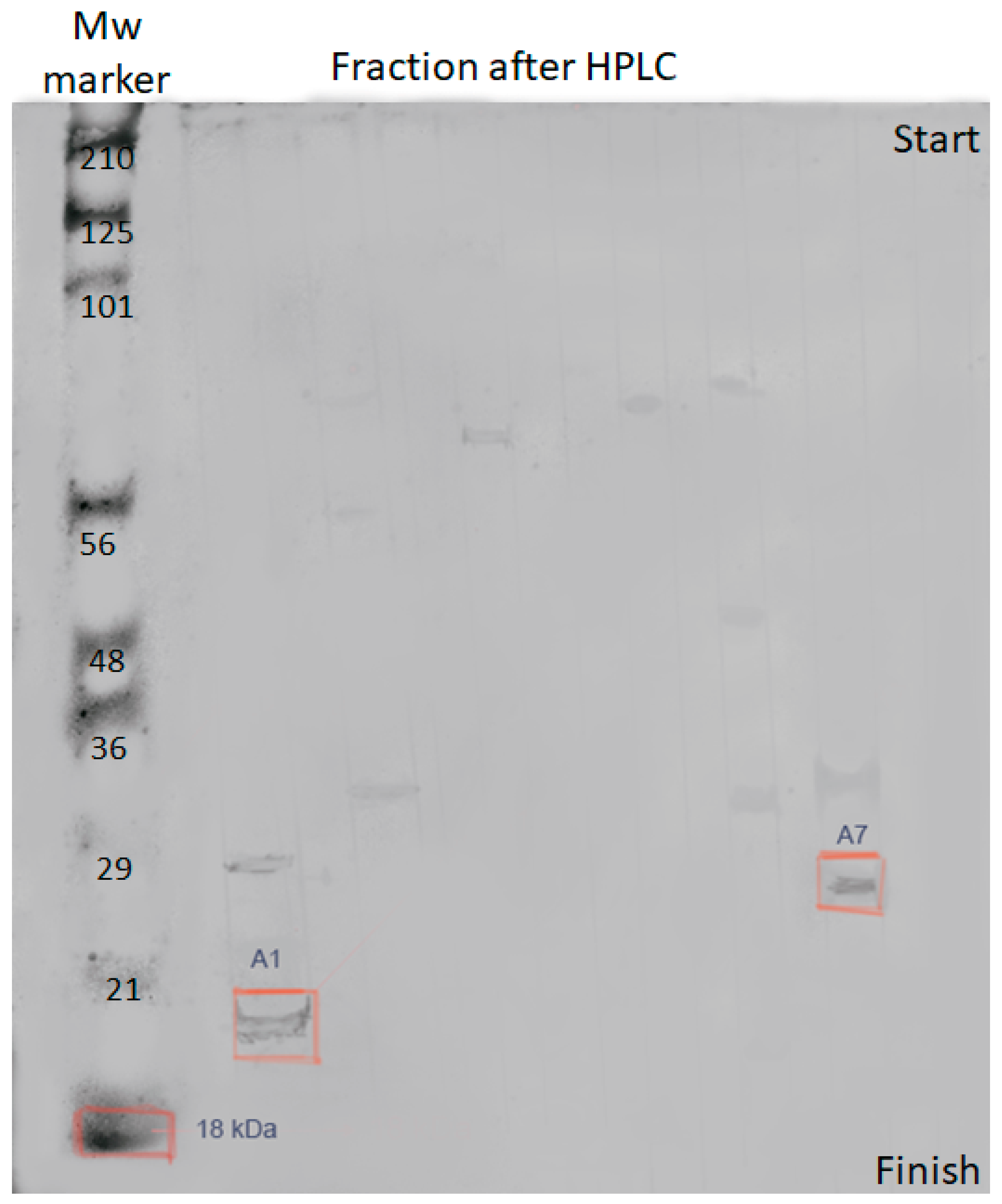 Antibiotics 10 00927 g003 550