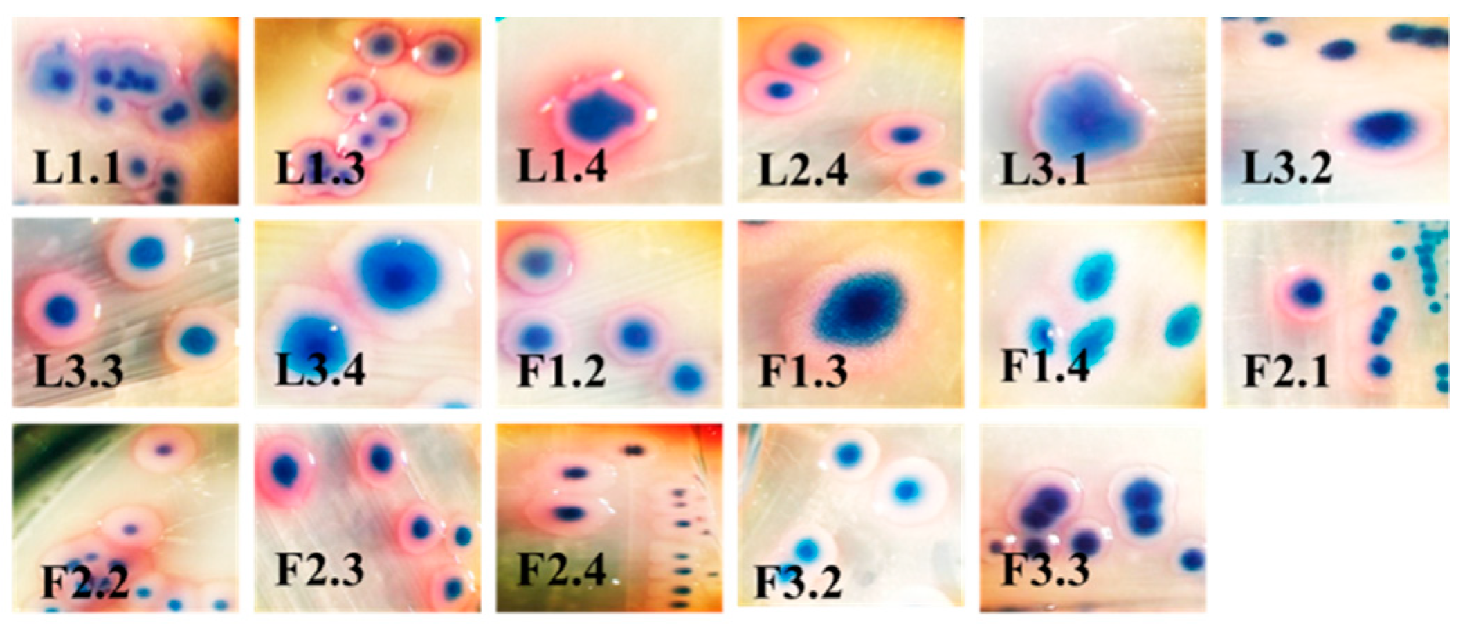 Antibiotics 10 00940 g001 Antibiotics 10 00940 g001