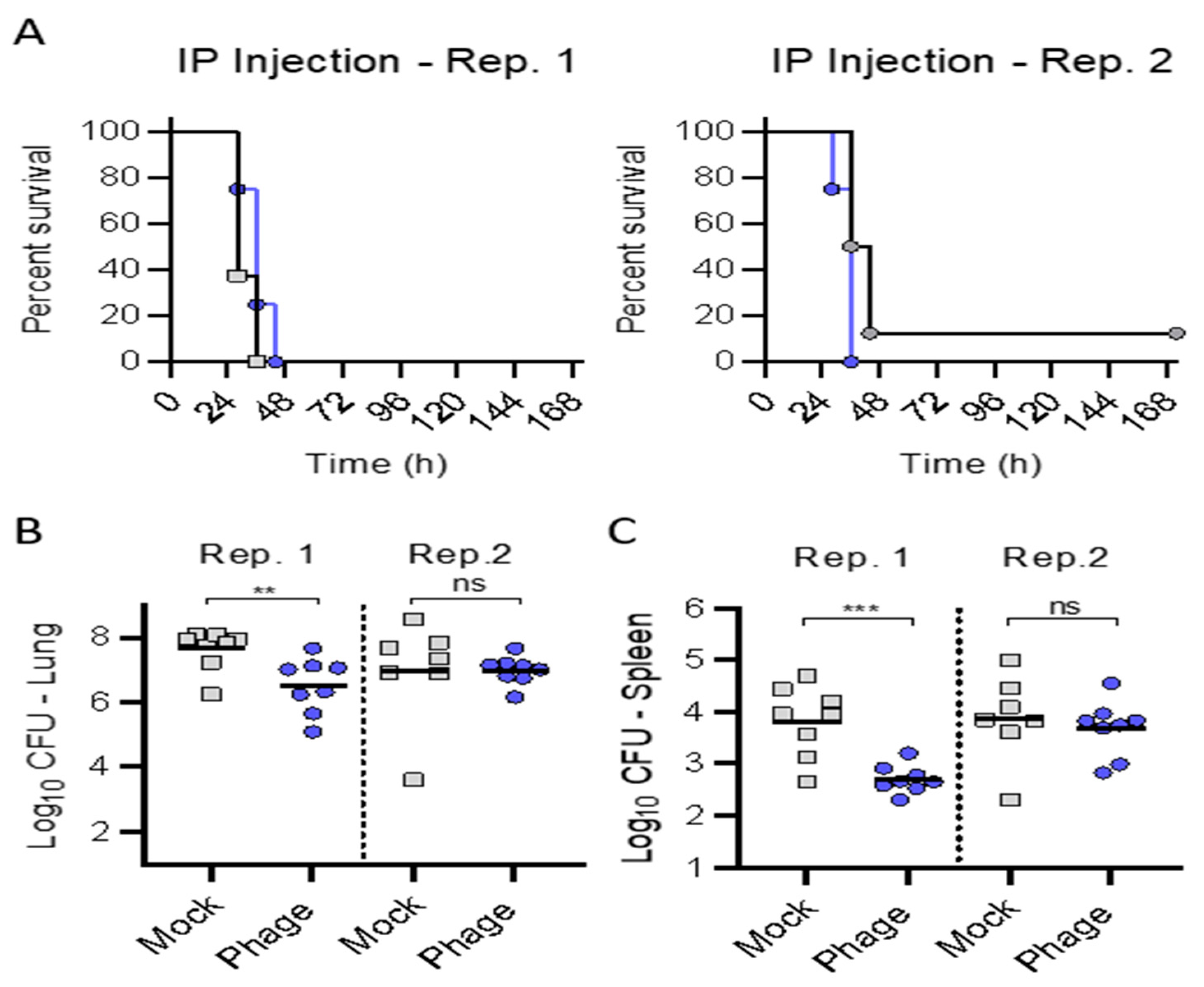 Antibiotics 10 00946 g003 550