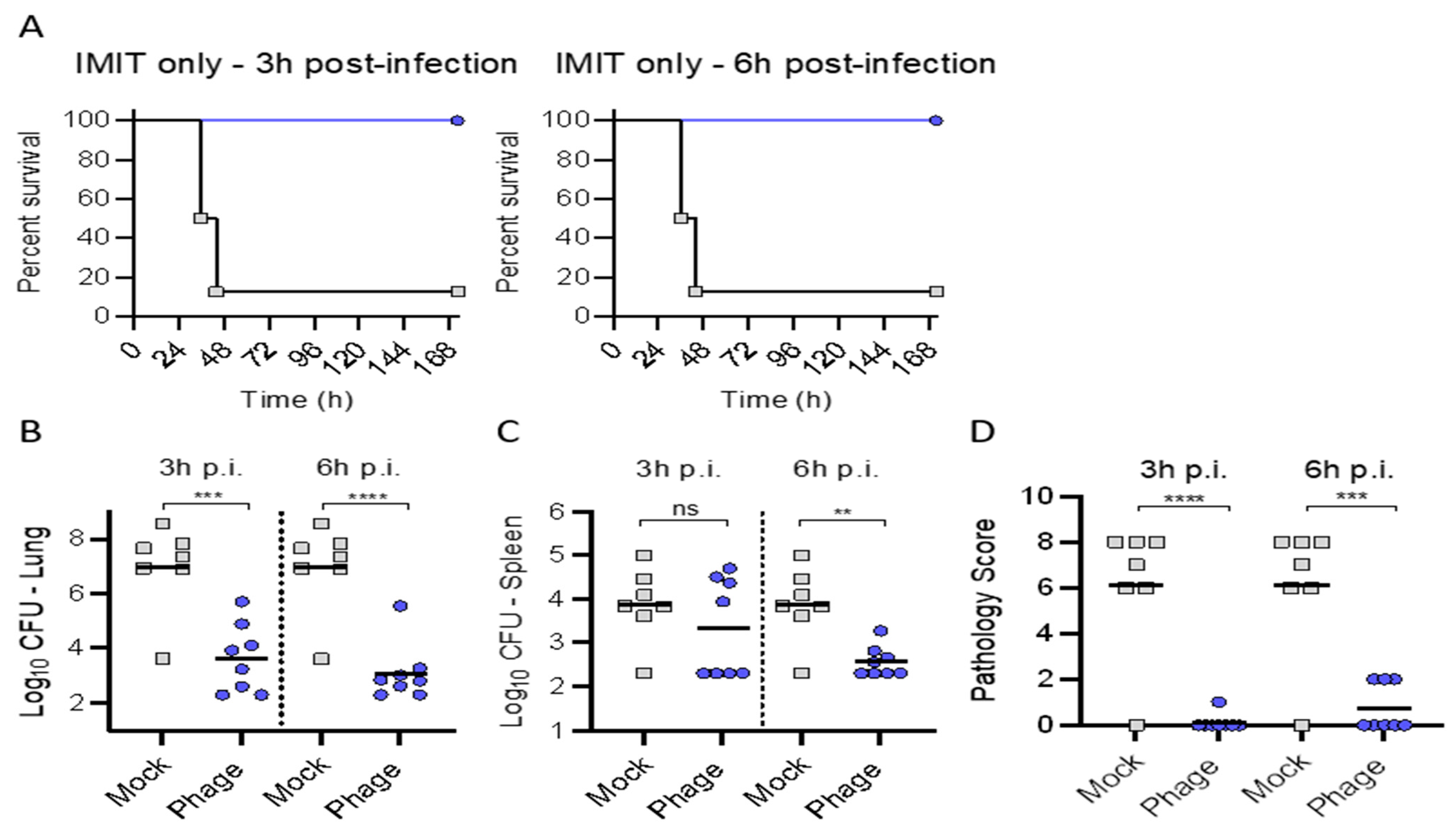 Antibiotics 10 00946 g005 550