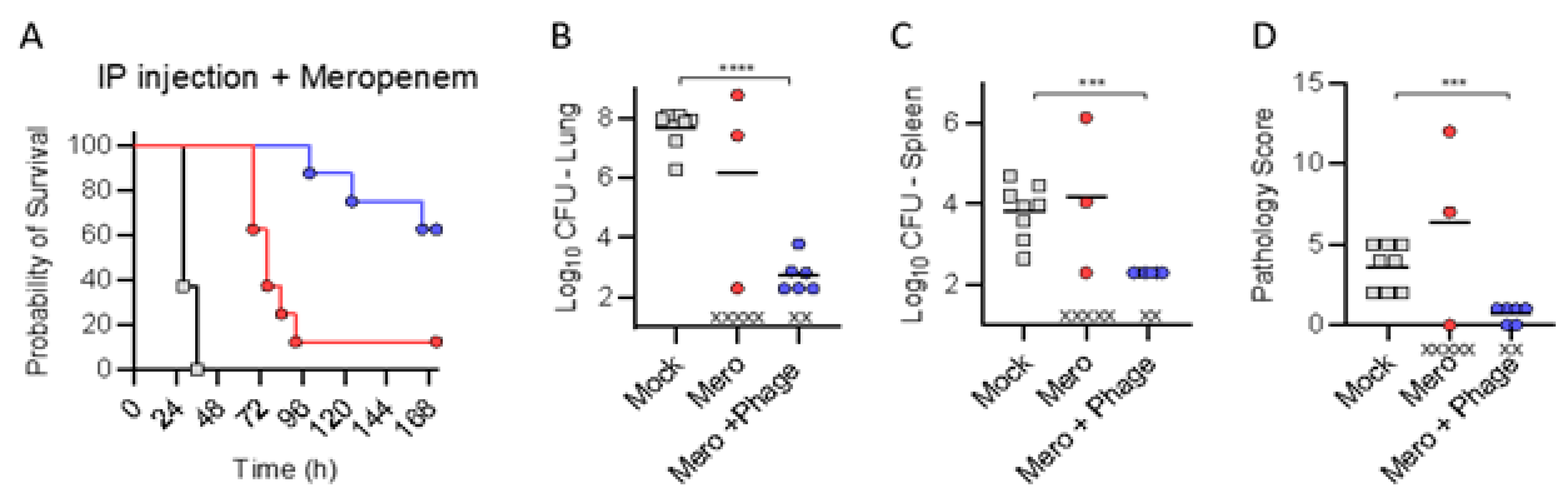 Antibiotics 10 00946 g006 550