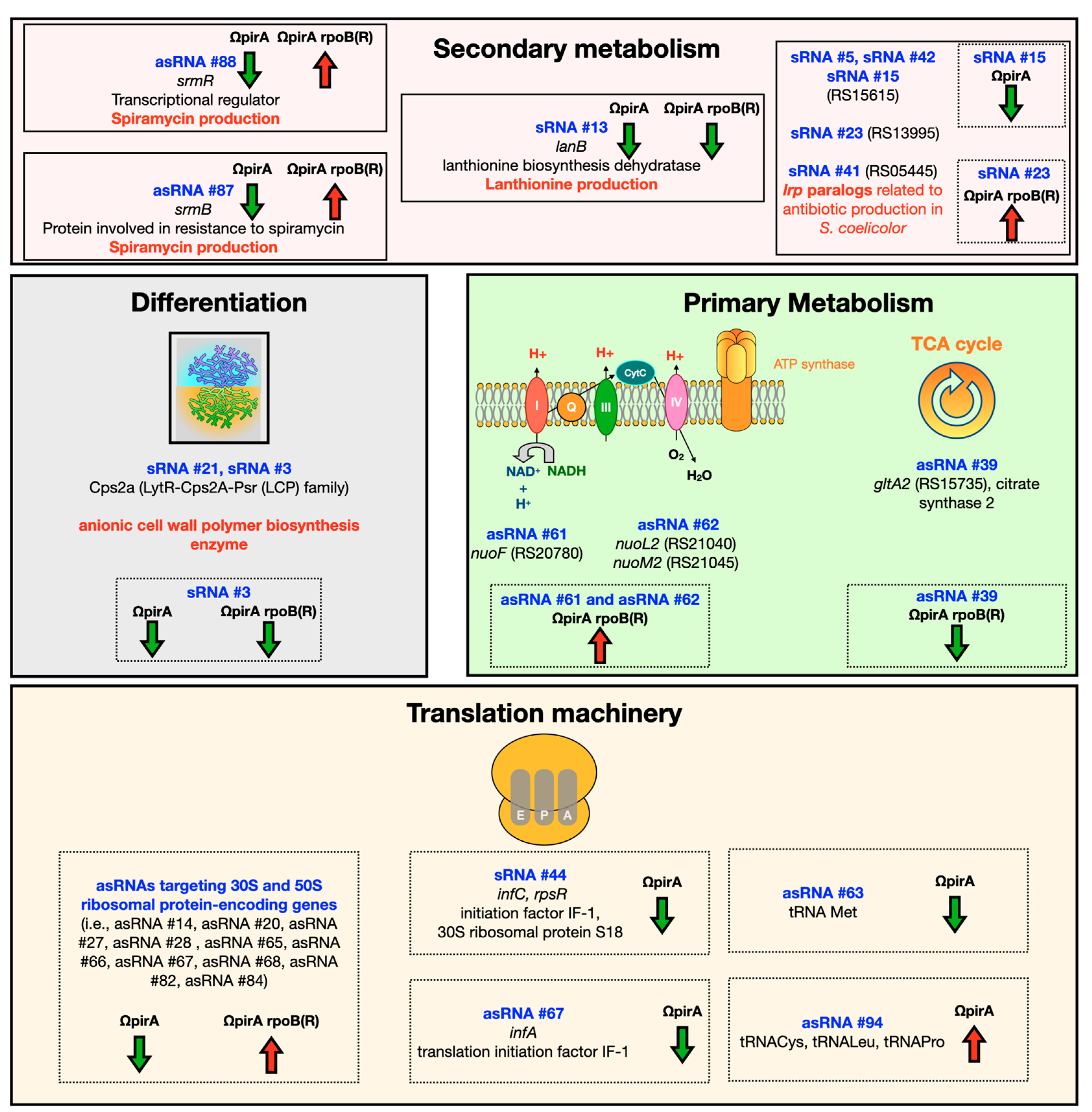 Antibiotics 10 00947 g008 Antibiotics 10 00947 g008