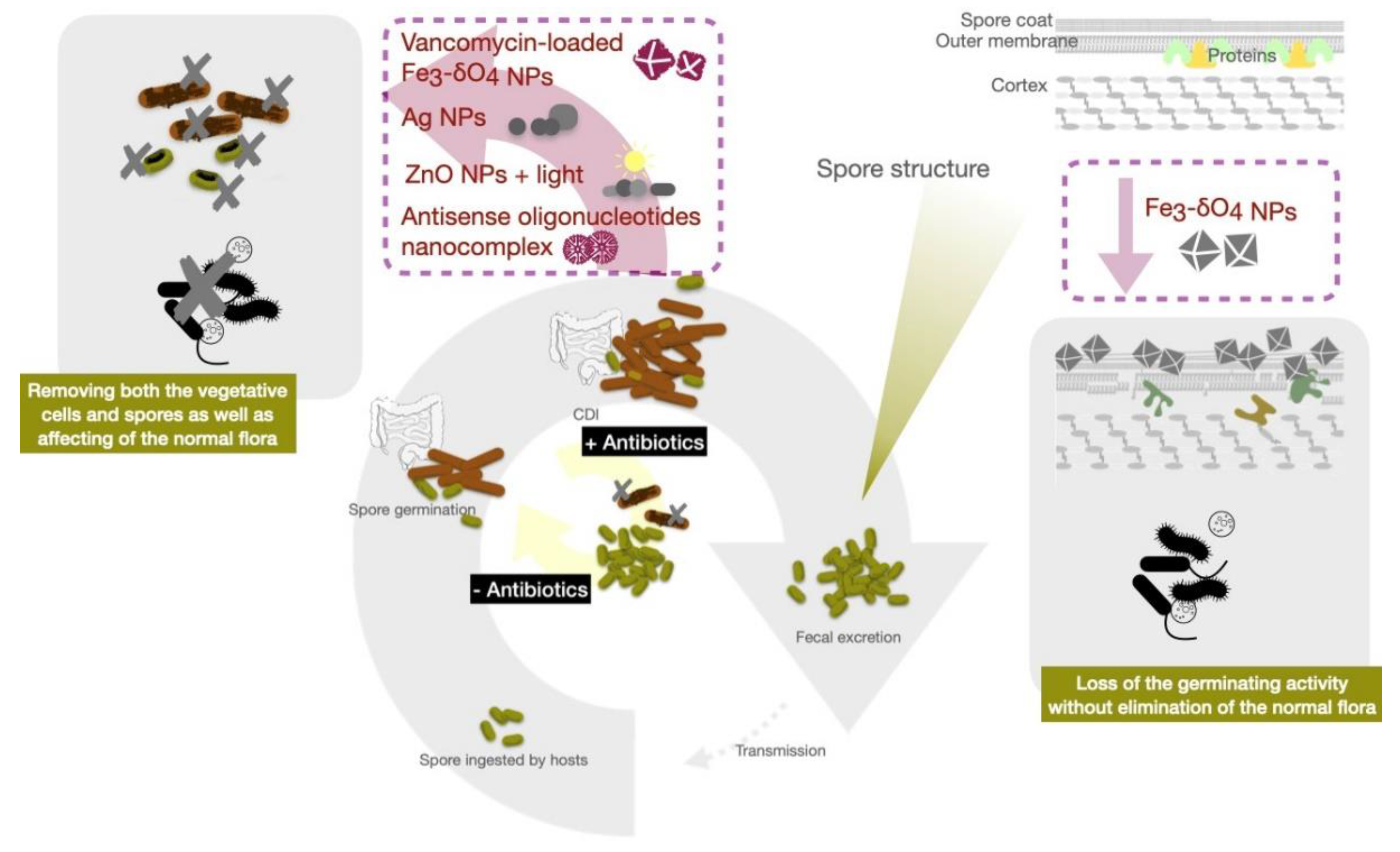 Antibiotics 10 00948 g002 Antibiotics 10 00948 g002
