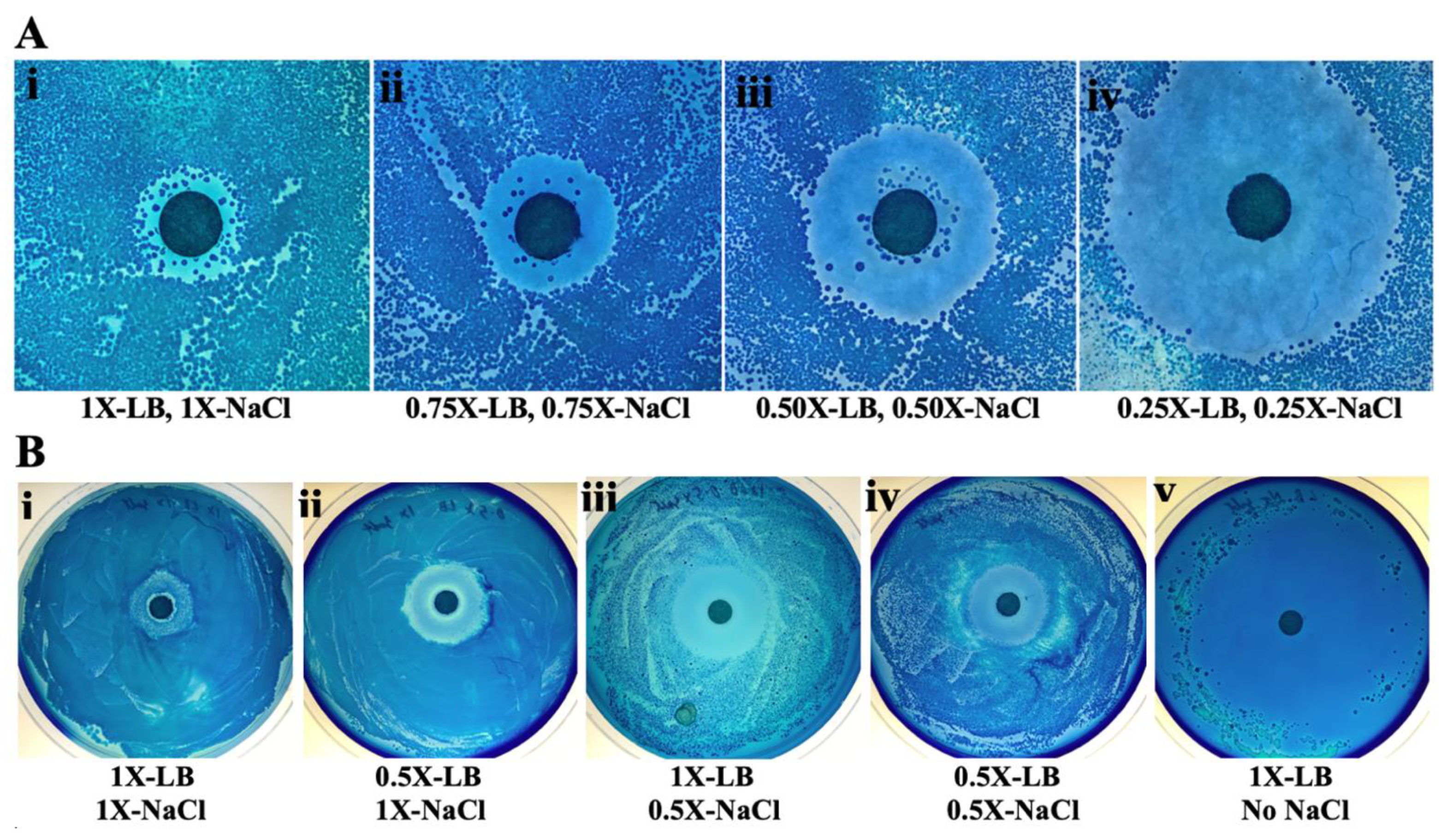 Antibiotics 10 00951 g002 Antibiotics 10 00951 g002