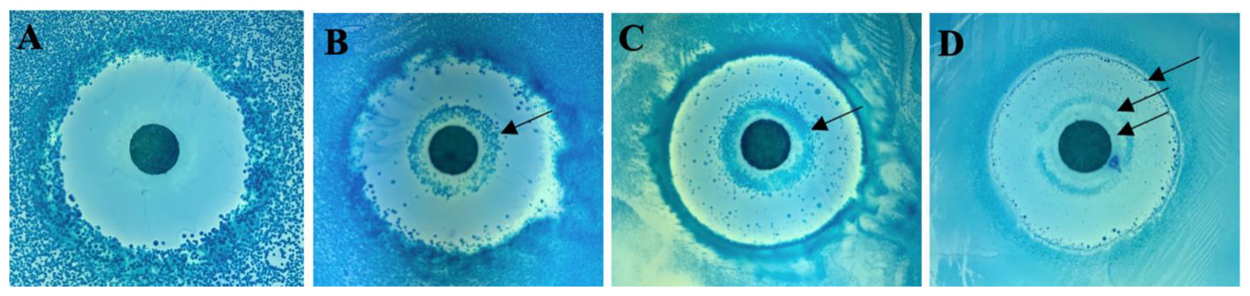 Antibiotics 10 00951 g003 Antibiotics 10 00951 g003