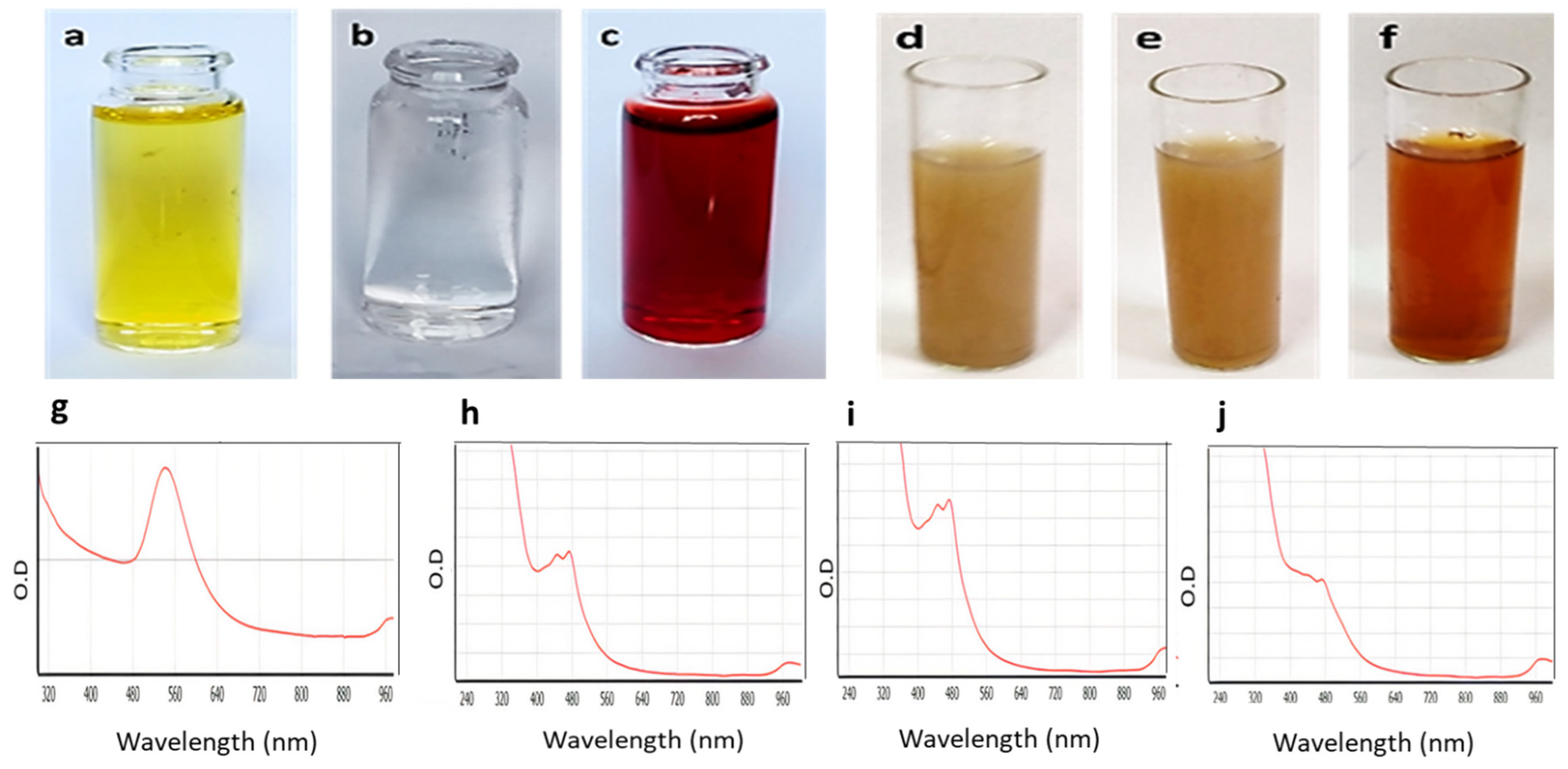 Antibiotics Free FullText FlavonoidCoated Gold Nanoparticles as
