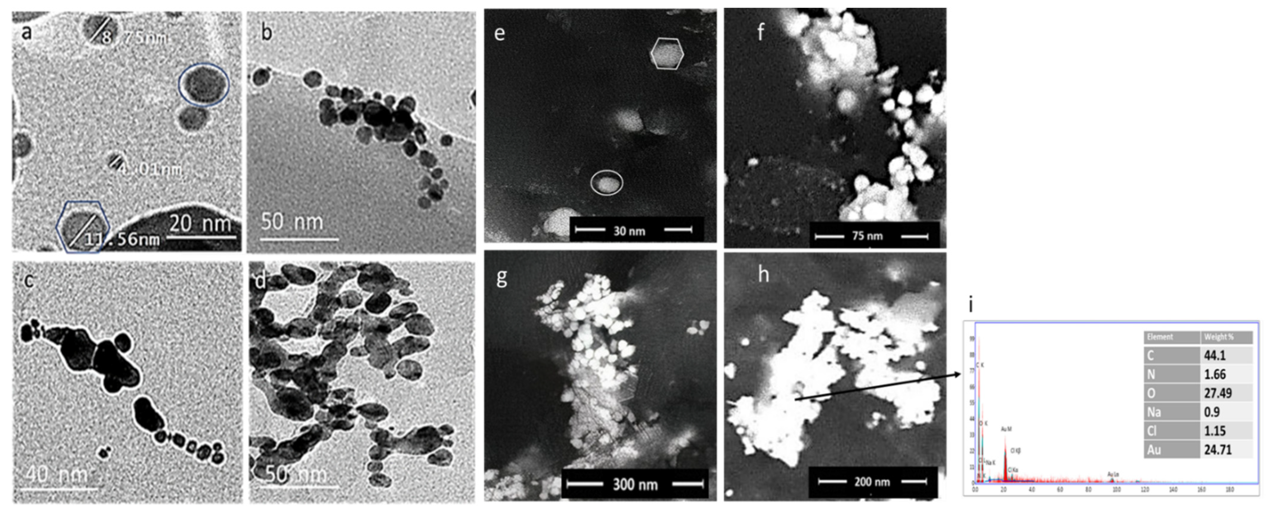 Antibiotics 10 00968 g004 550
