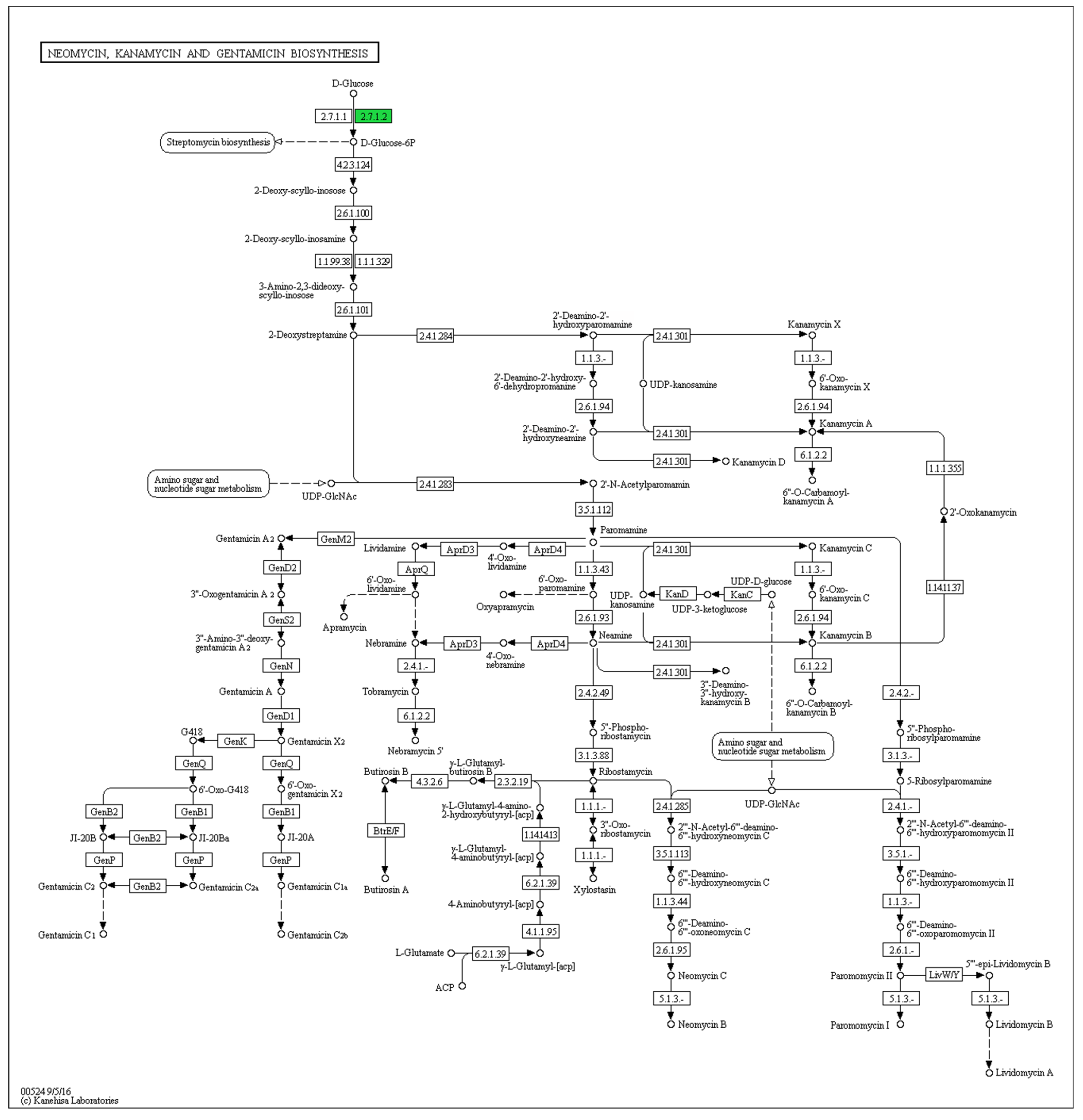 Antibiotics 10 00969 g001