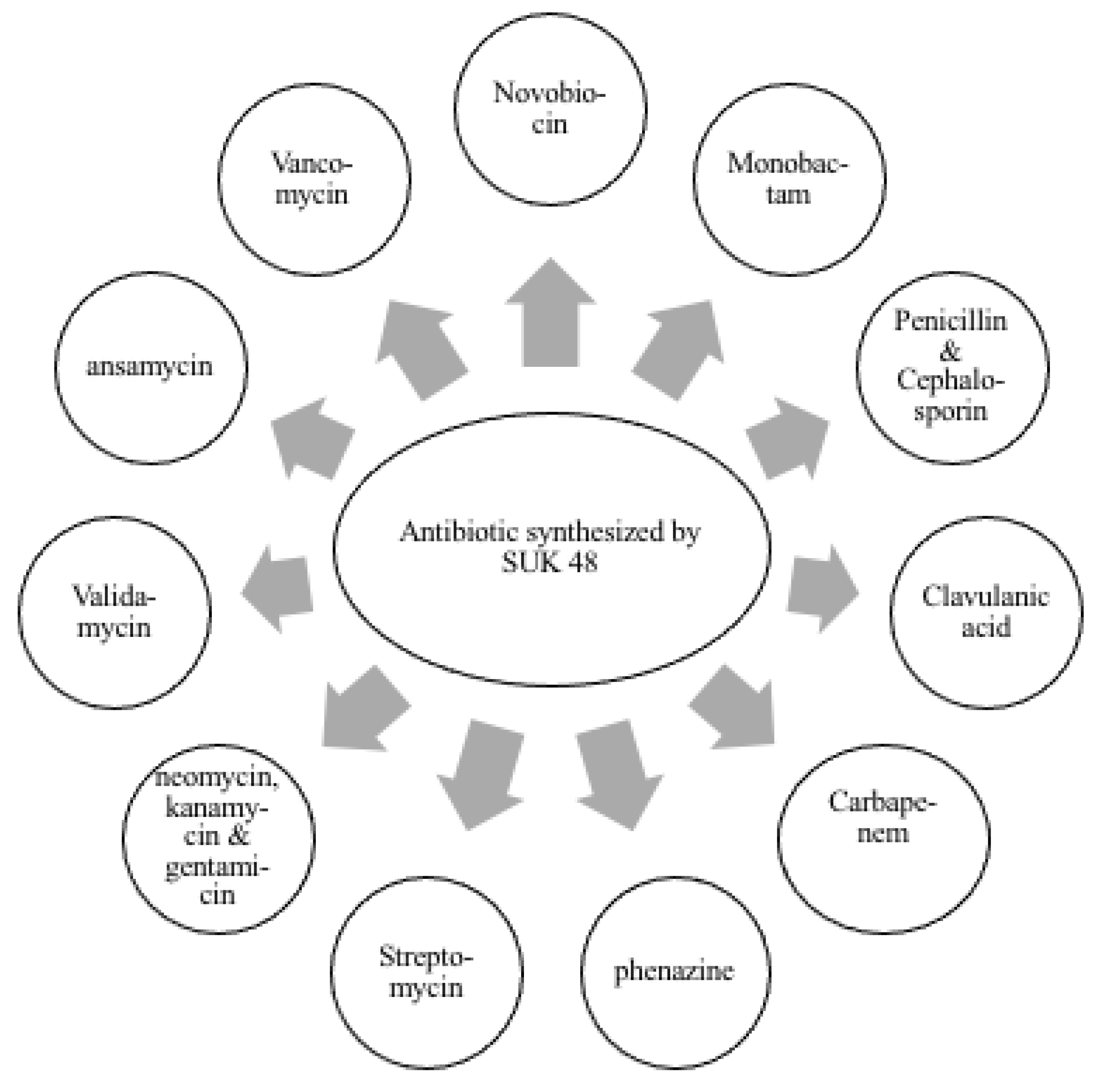 Antibiotics 10 00969 g003
