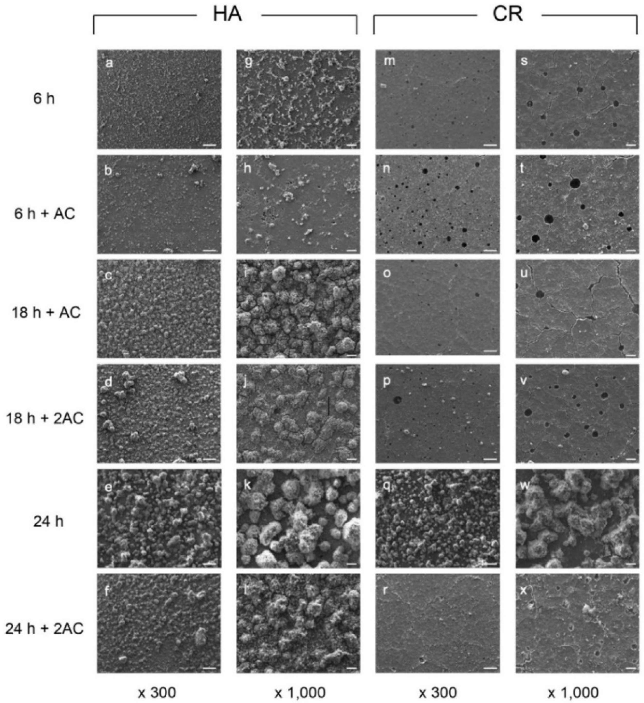Antibiotics 10 00977 g002