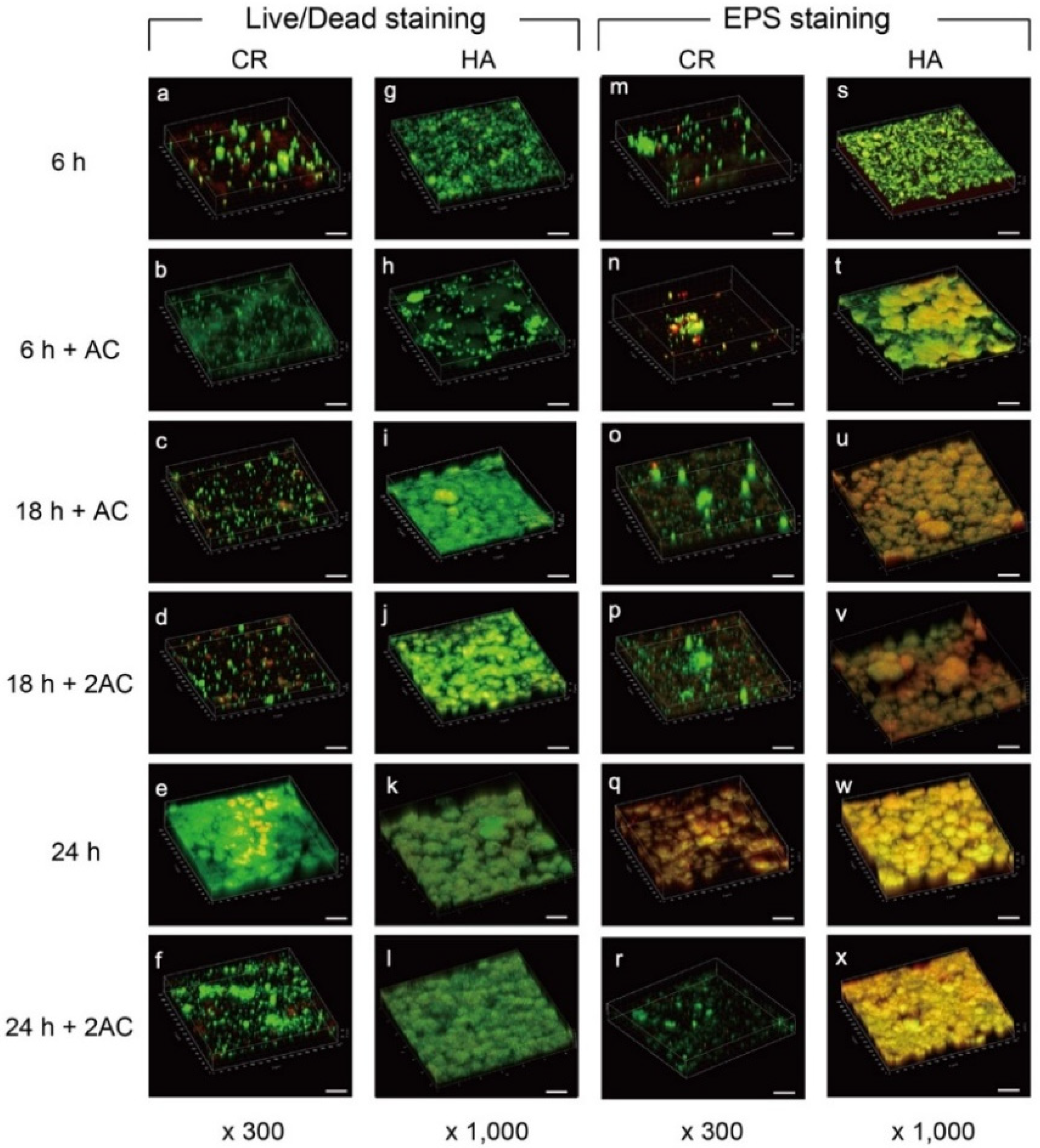 Antibiotics 10 00977 g003