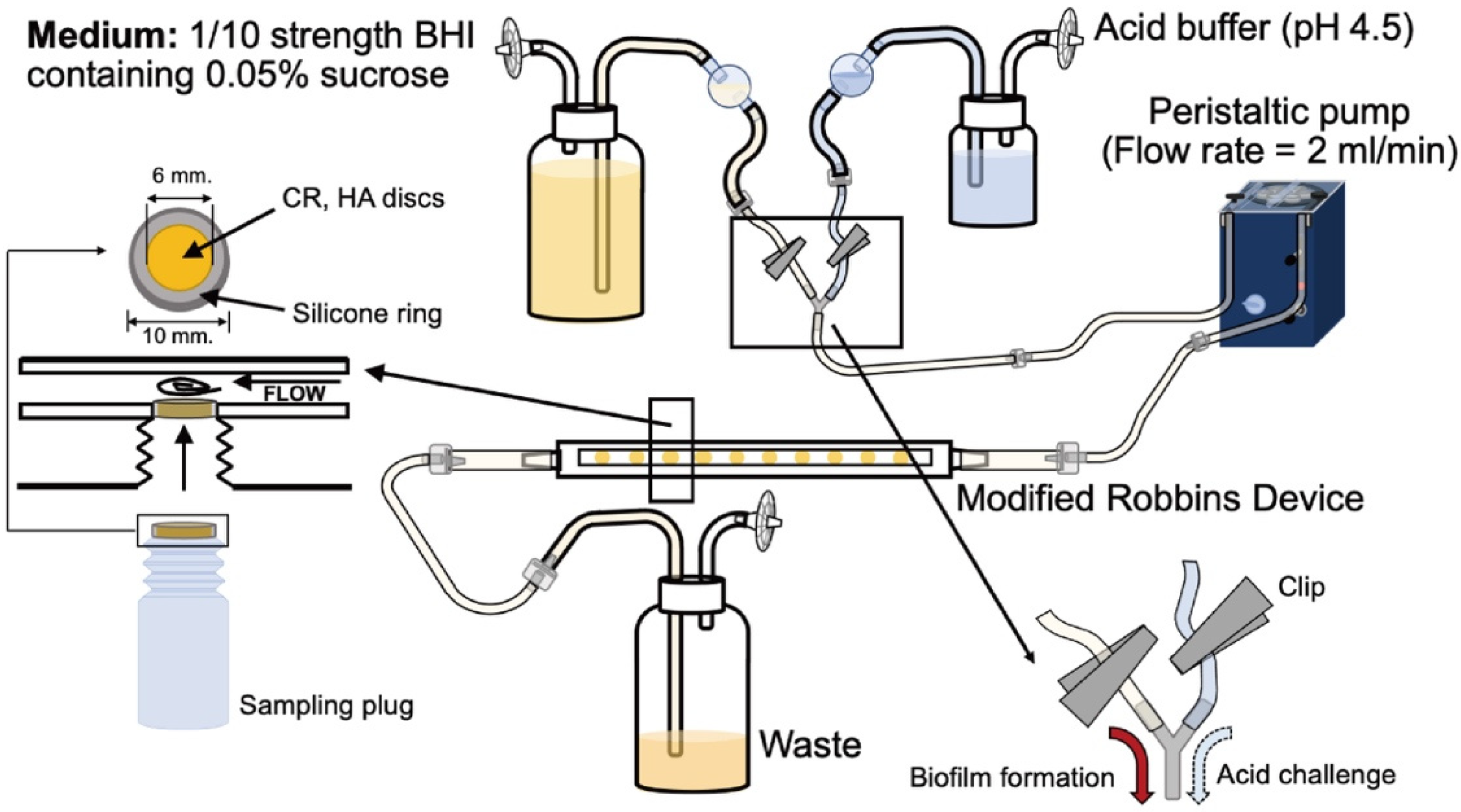 Antibiotics 10 00977 g006