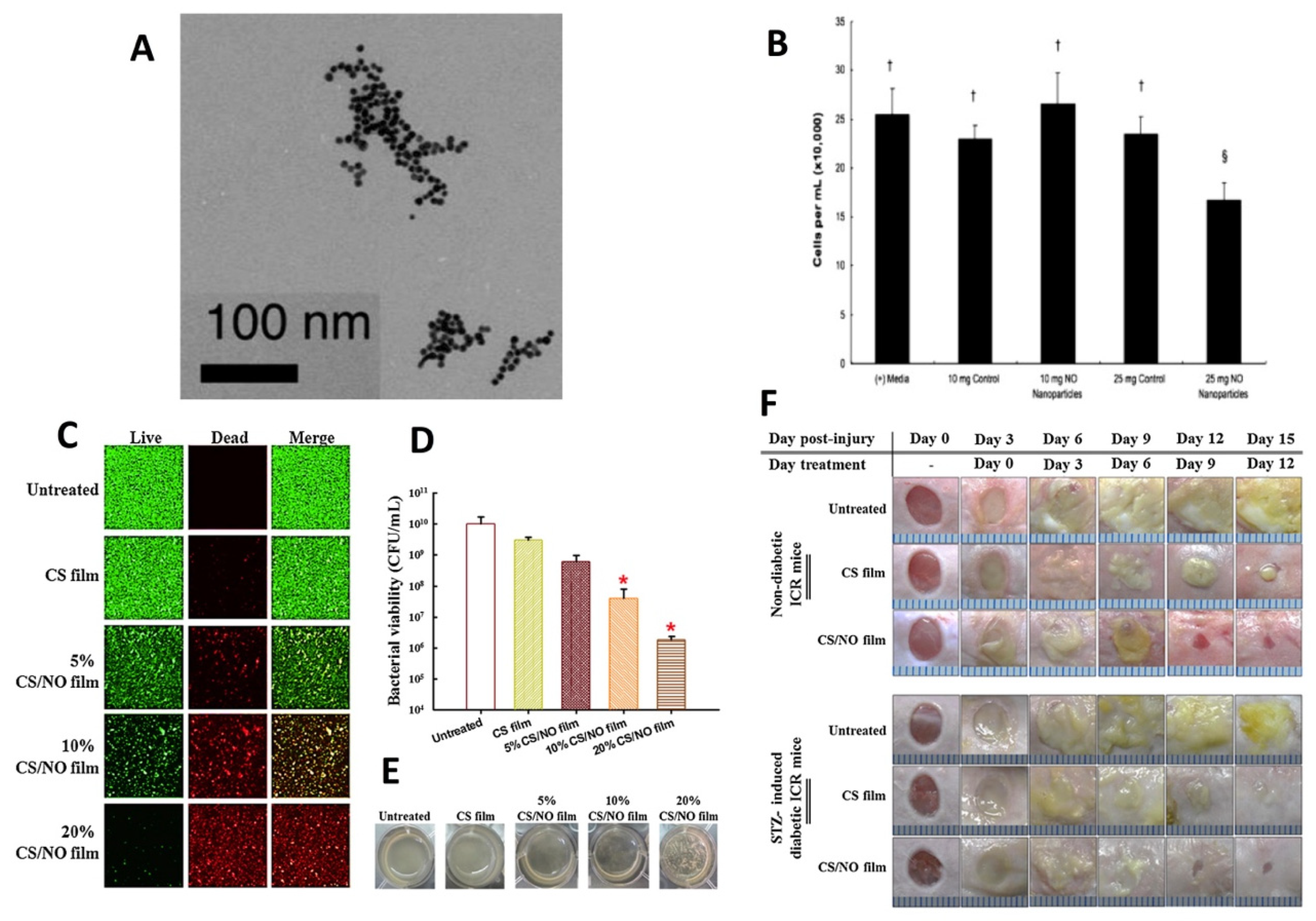 Antibiotics 10 00981 g007