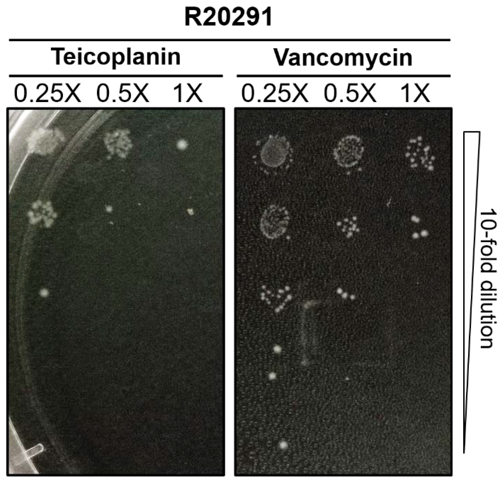 Antibiotics 10 00984 g001 Antibiotics 10 00984 g001