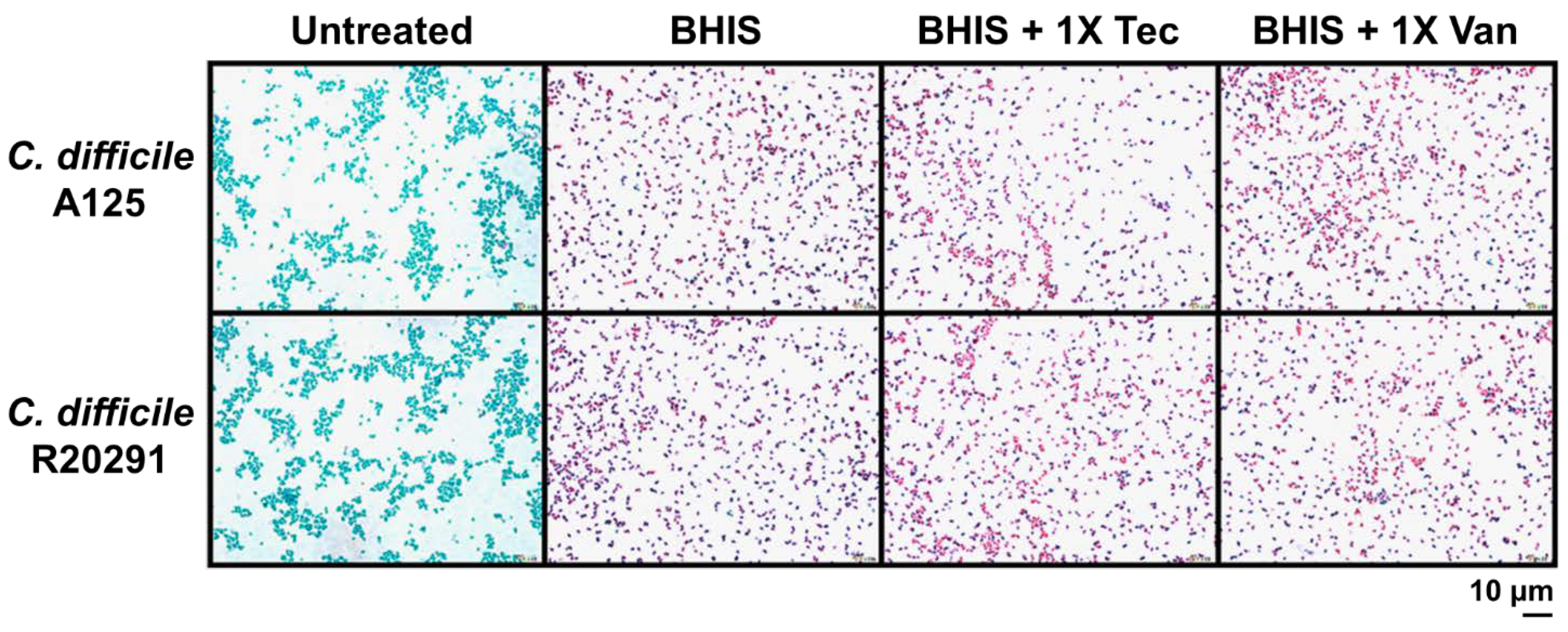 Antibiotics 10 00984 g004 Antibiotics 10 00984 g004