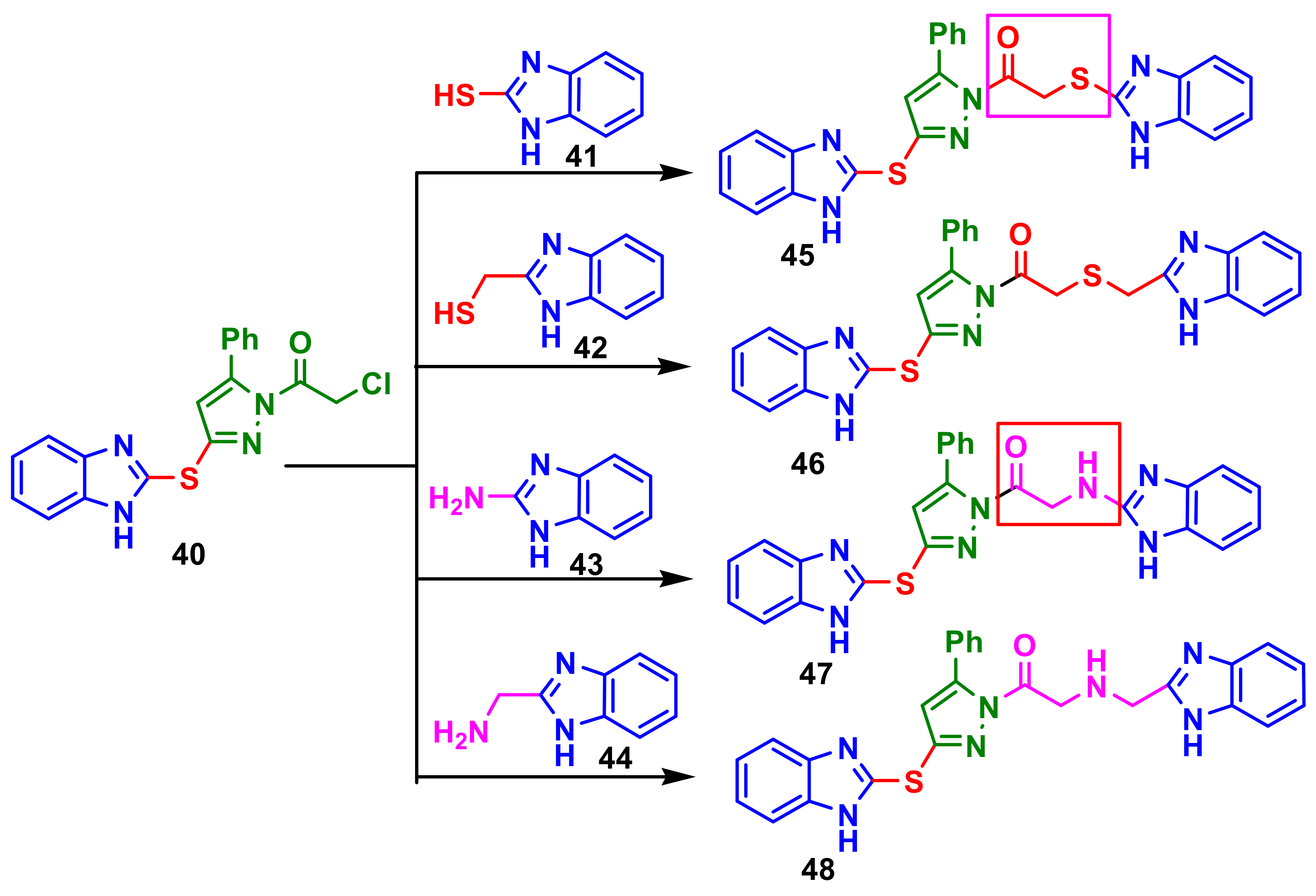 Antibiotics 10 01002 sch012