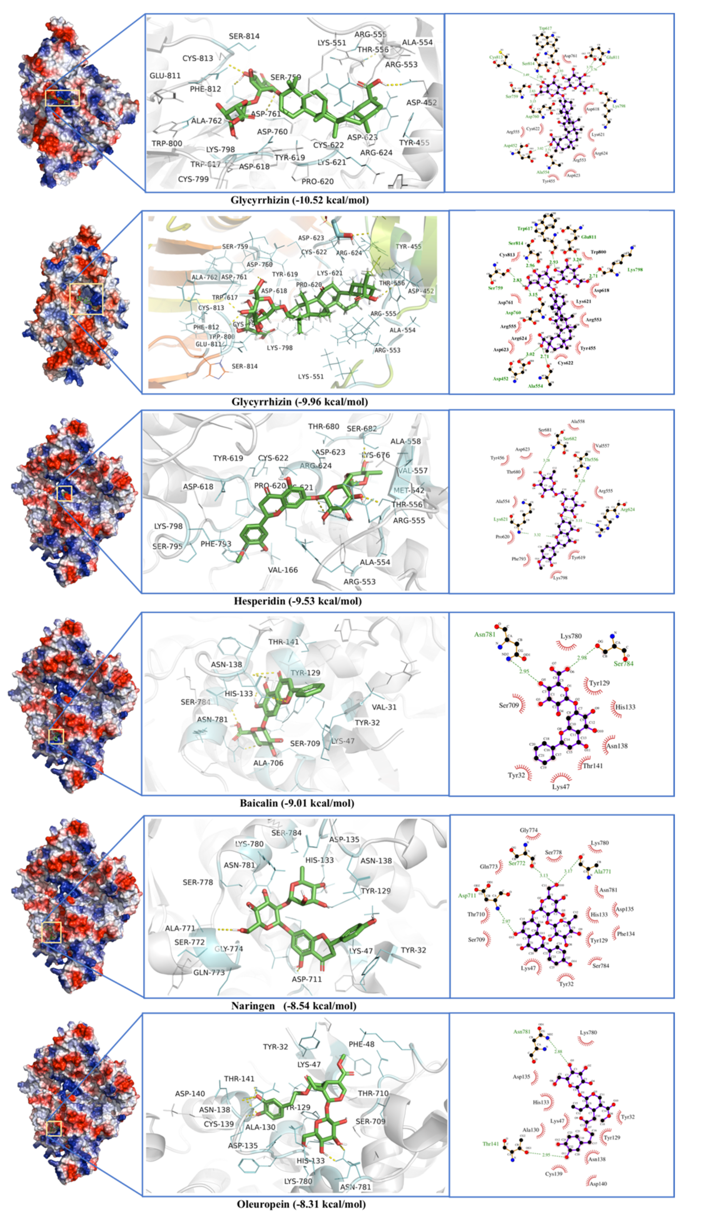 Antibiotics 10 01011 g006