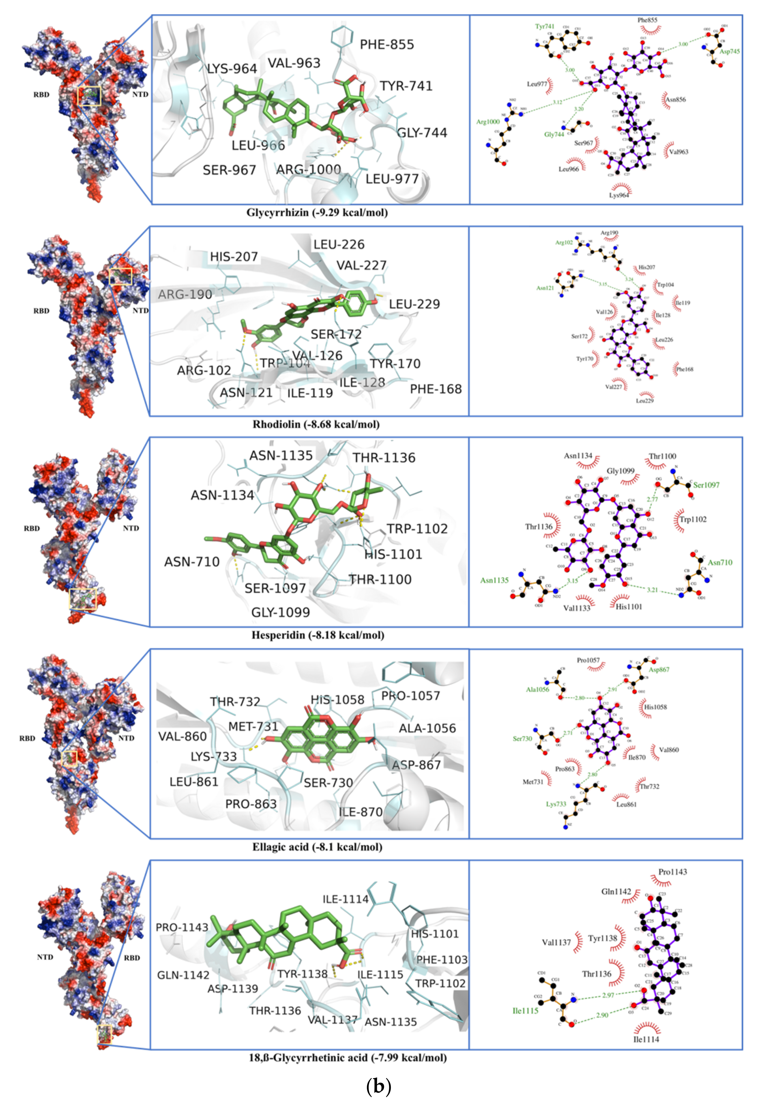 Antibiotics 10 01011 g008b