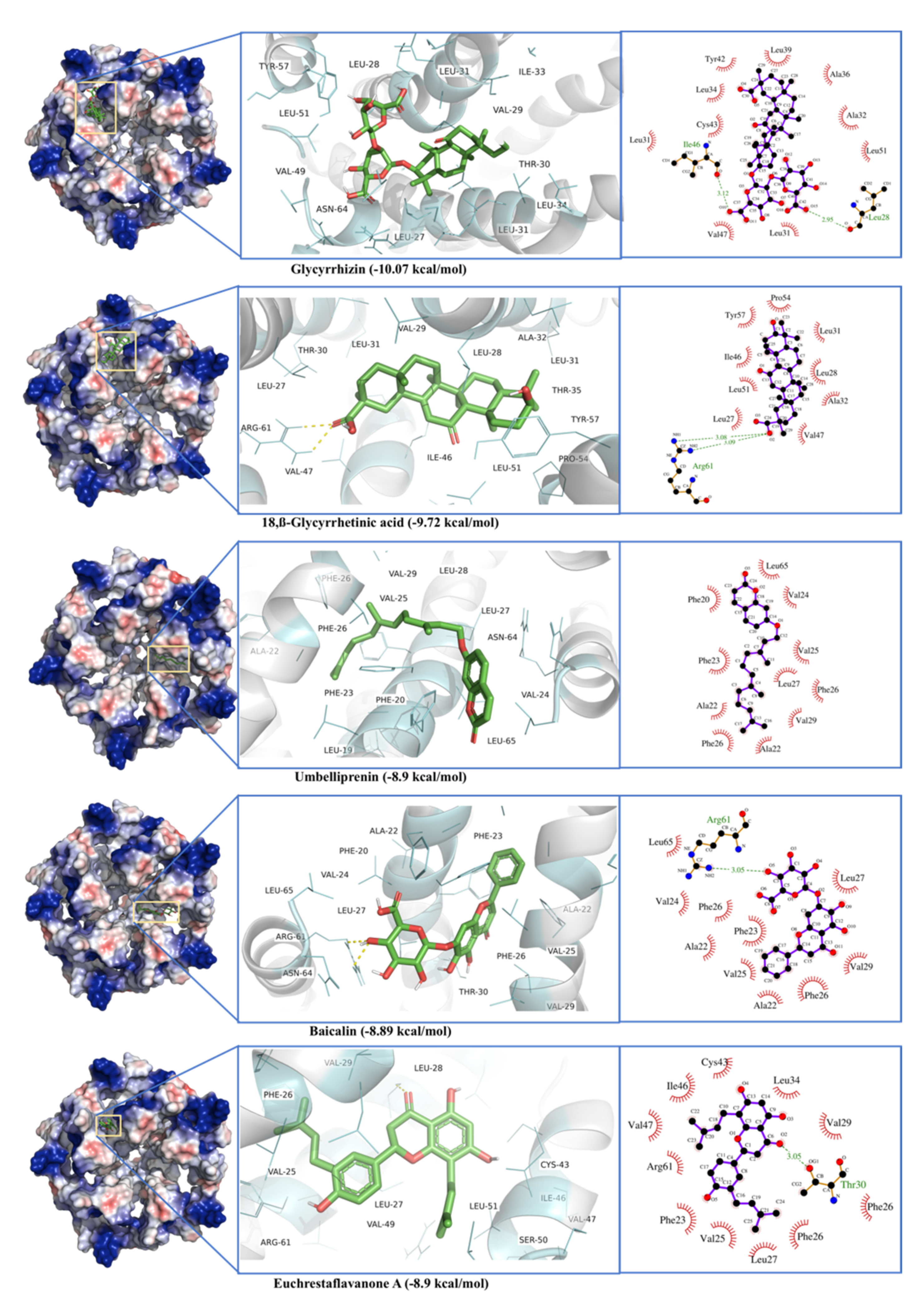 Antibiotics 10 01011 g012