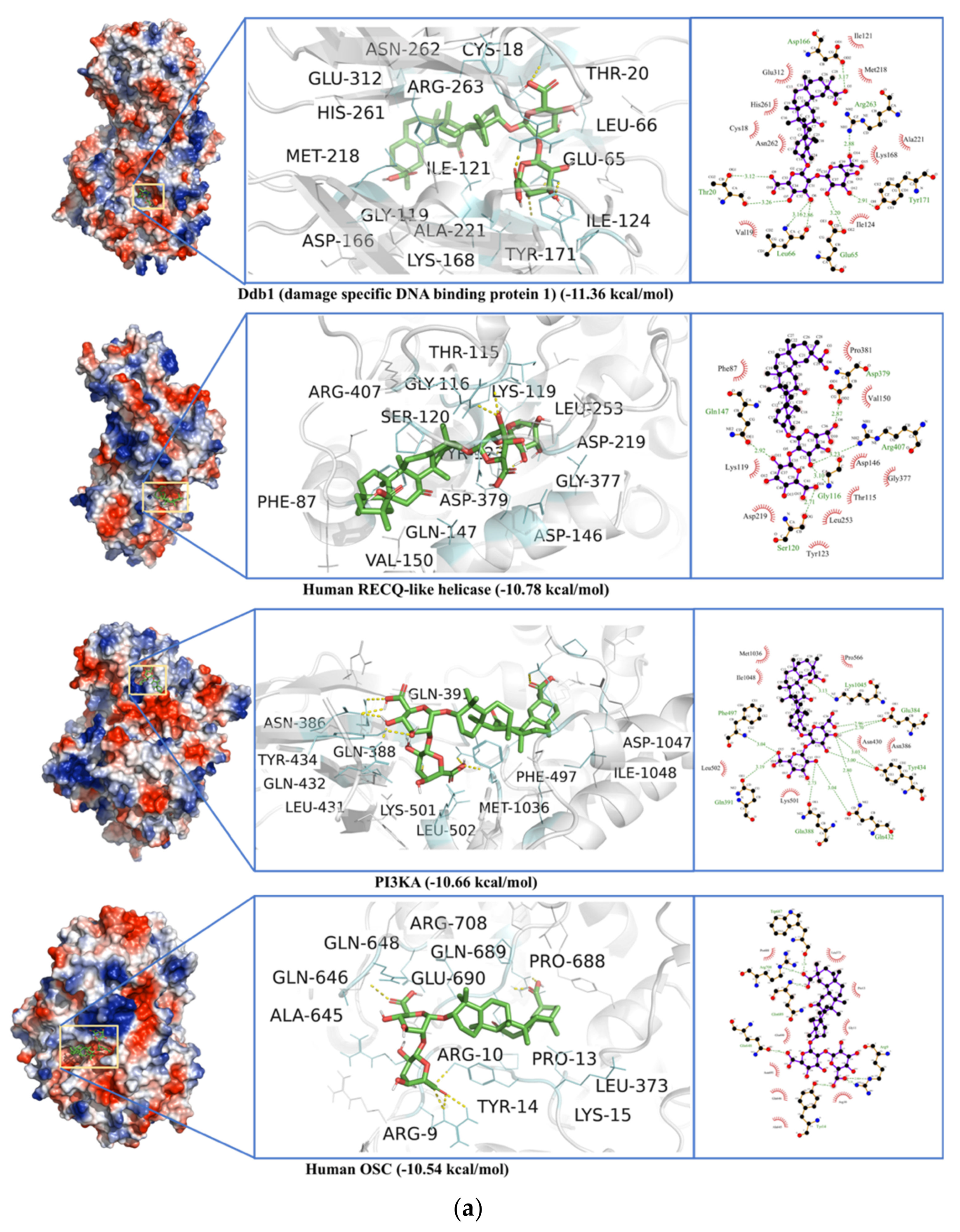 Antibiotics 10 01011 g013a