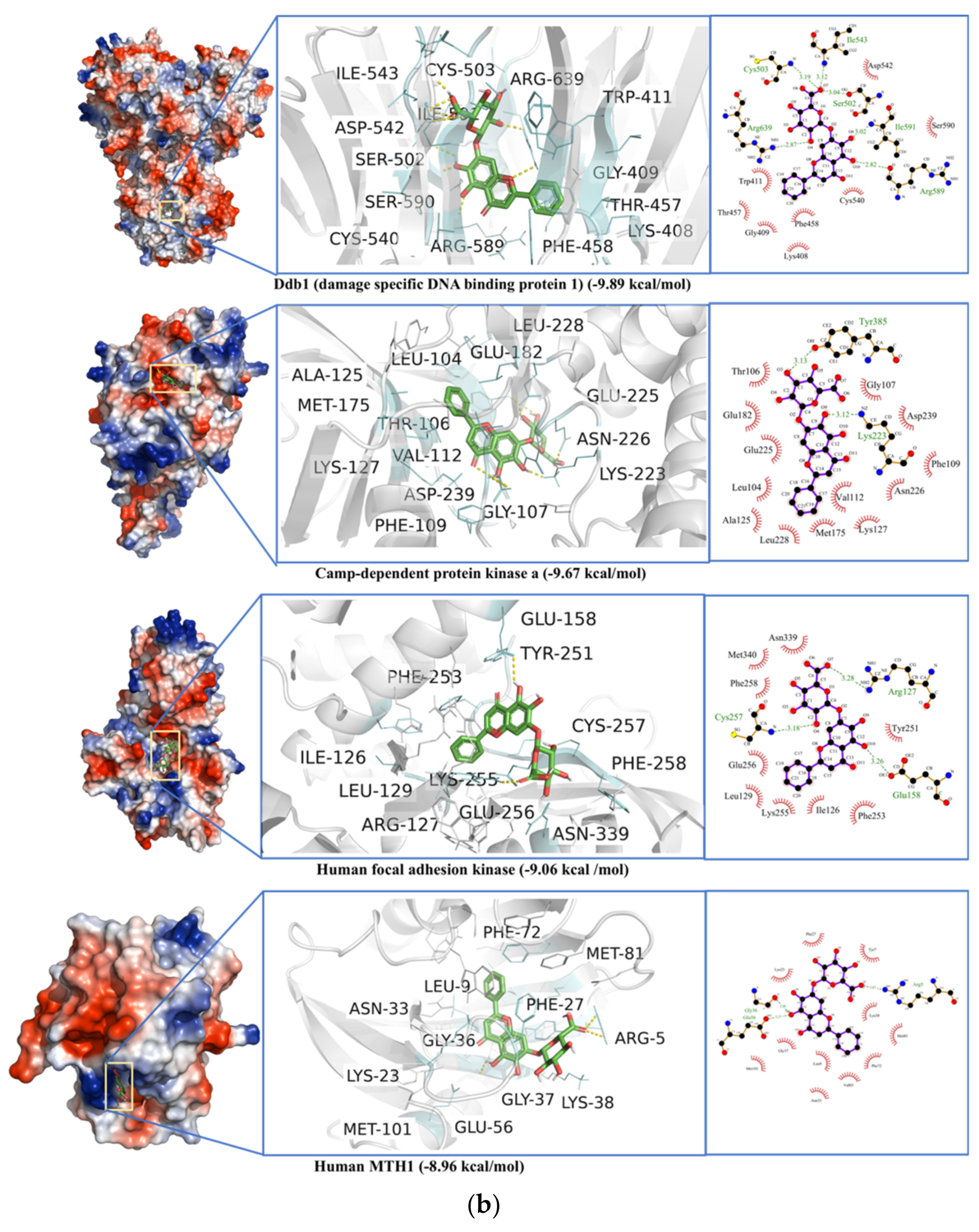 Antibiotics 10 01011 g013b