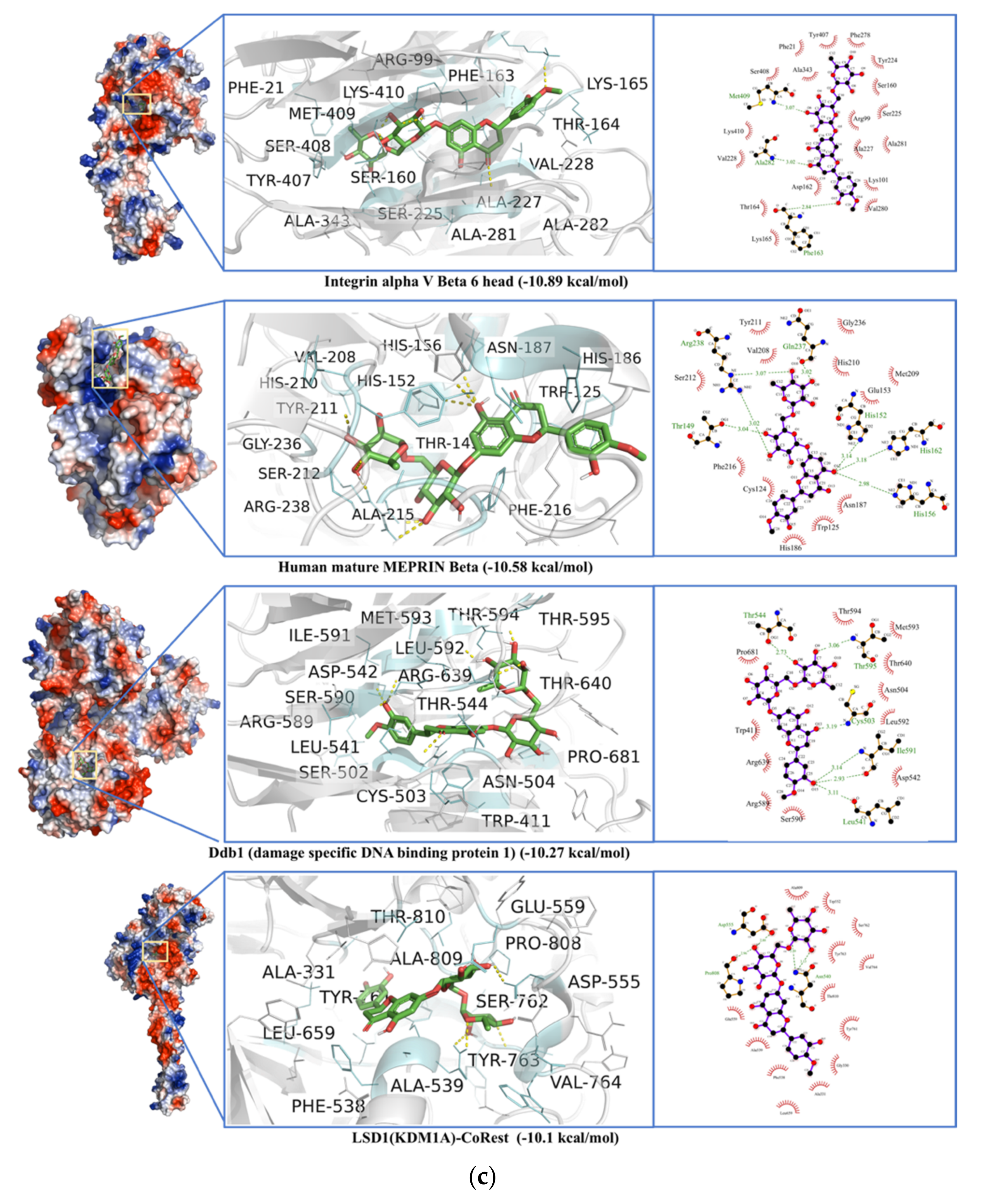 Antibiotics 10 01011 g013c
