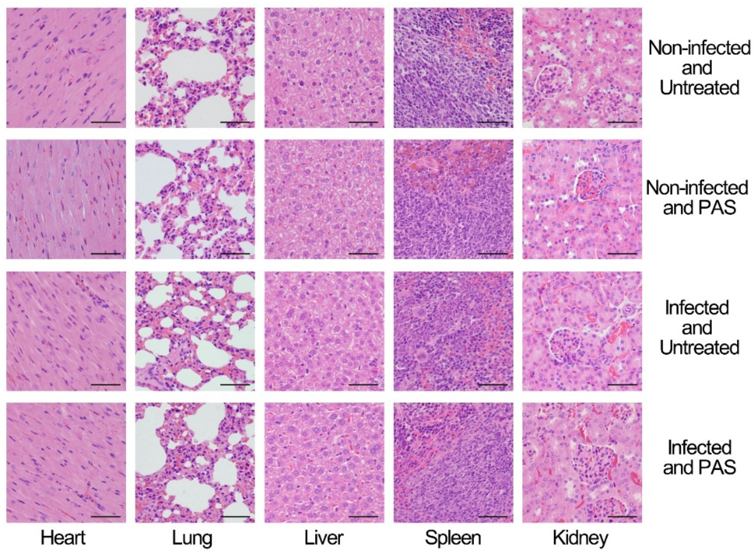 Antibiotics 10 01018 g004