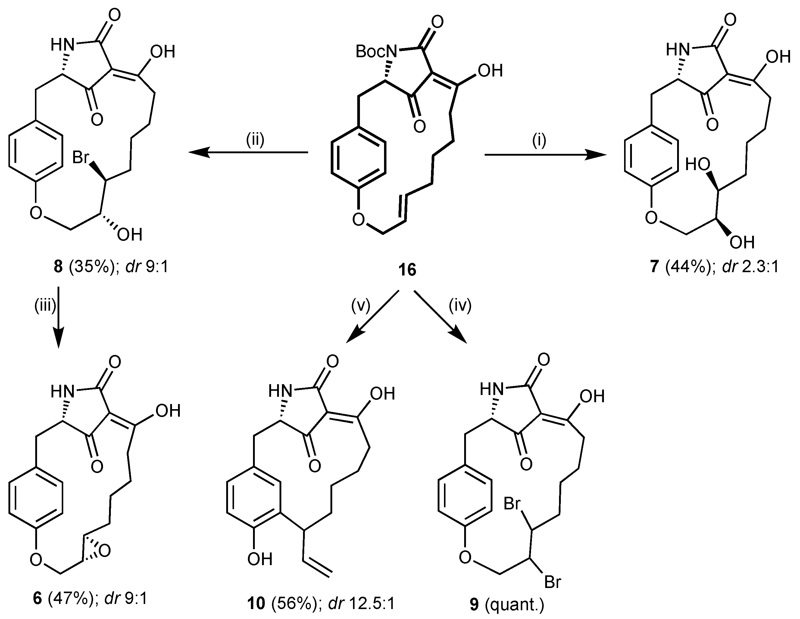 Antibiotics 10 01022 sch002 550