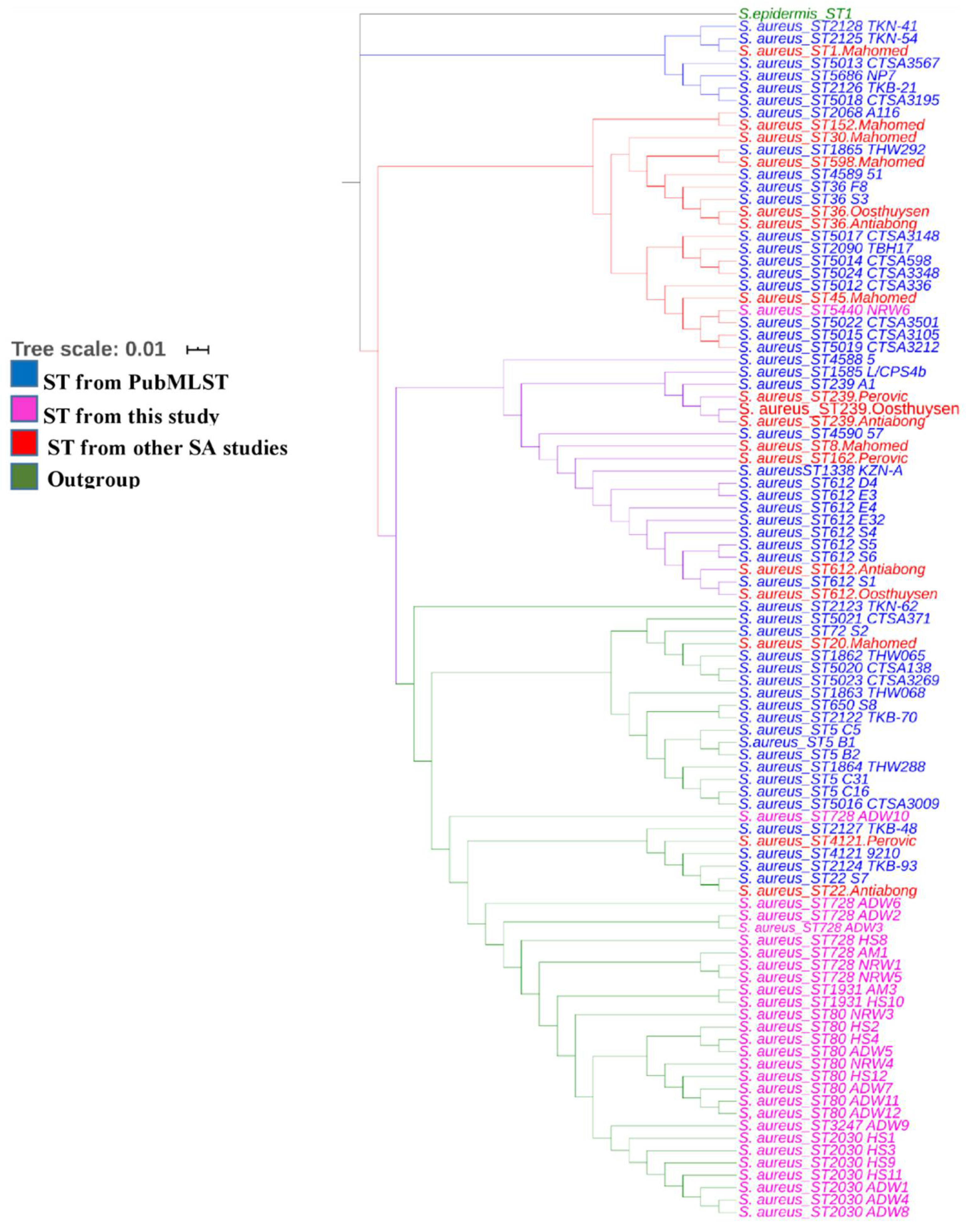 Antibiotics 10 01038 g004