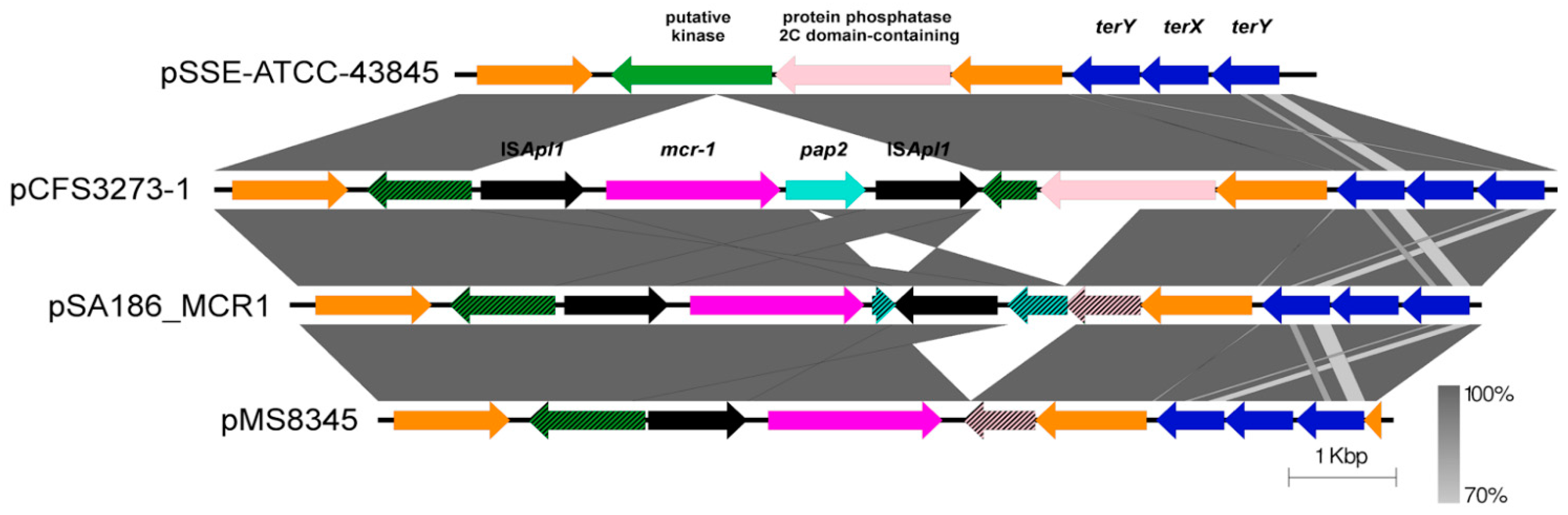Antibiotics 10 01041 g002 Antibiotics 10 01041 g002