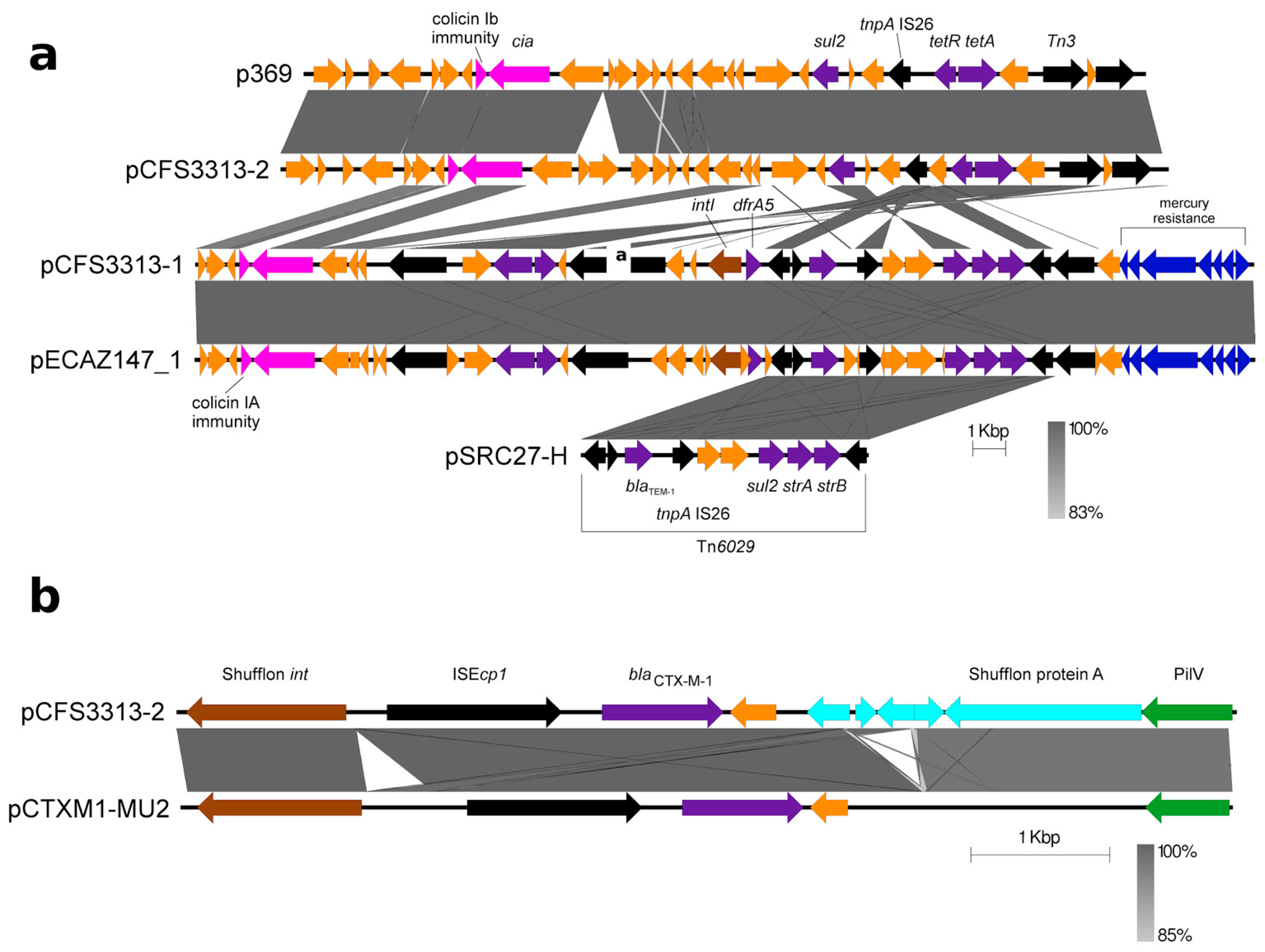 Antibiotics 10 01041 g003 Antibiotics 10 01041 g003