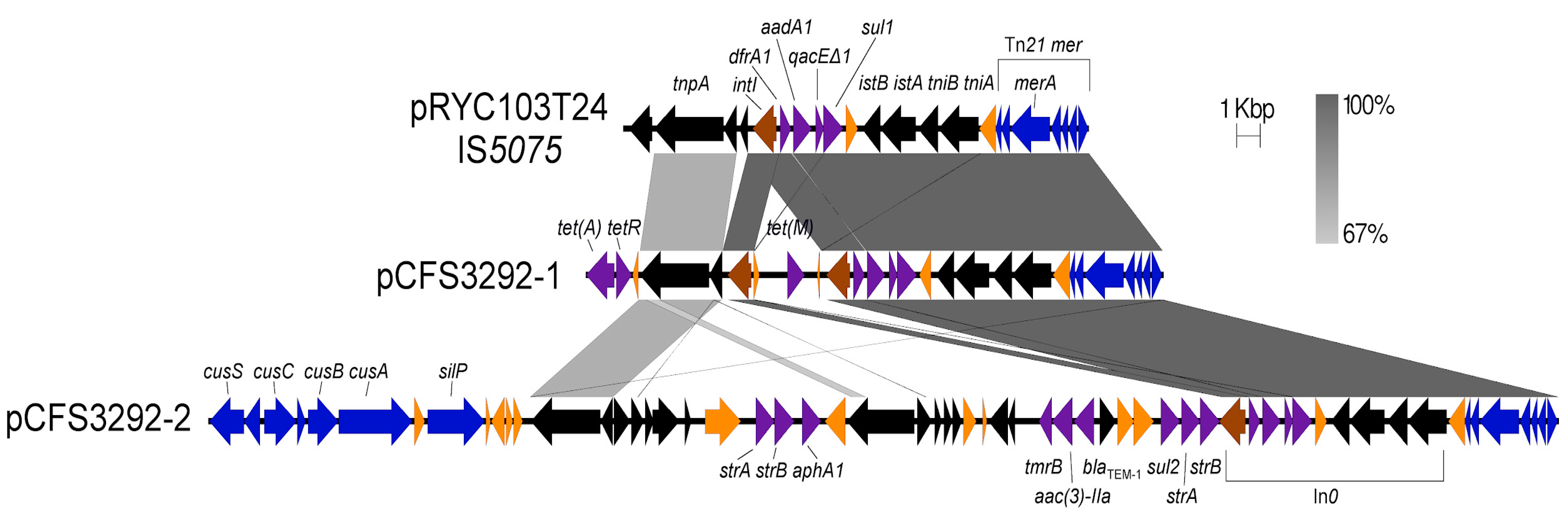 Antibiotics 10 01041 g004 Antibiotics 10 01041 g004