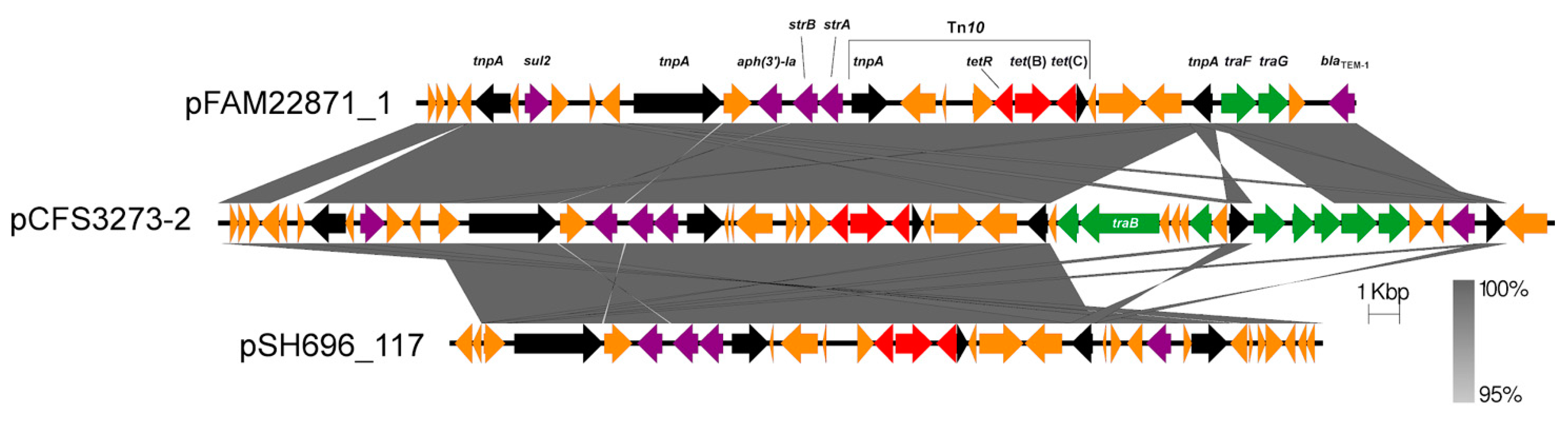 Antibiotics 10 01041 g005 Antibiotics 10 01041 g005