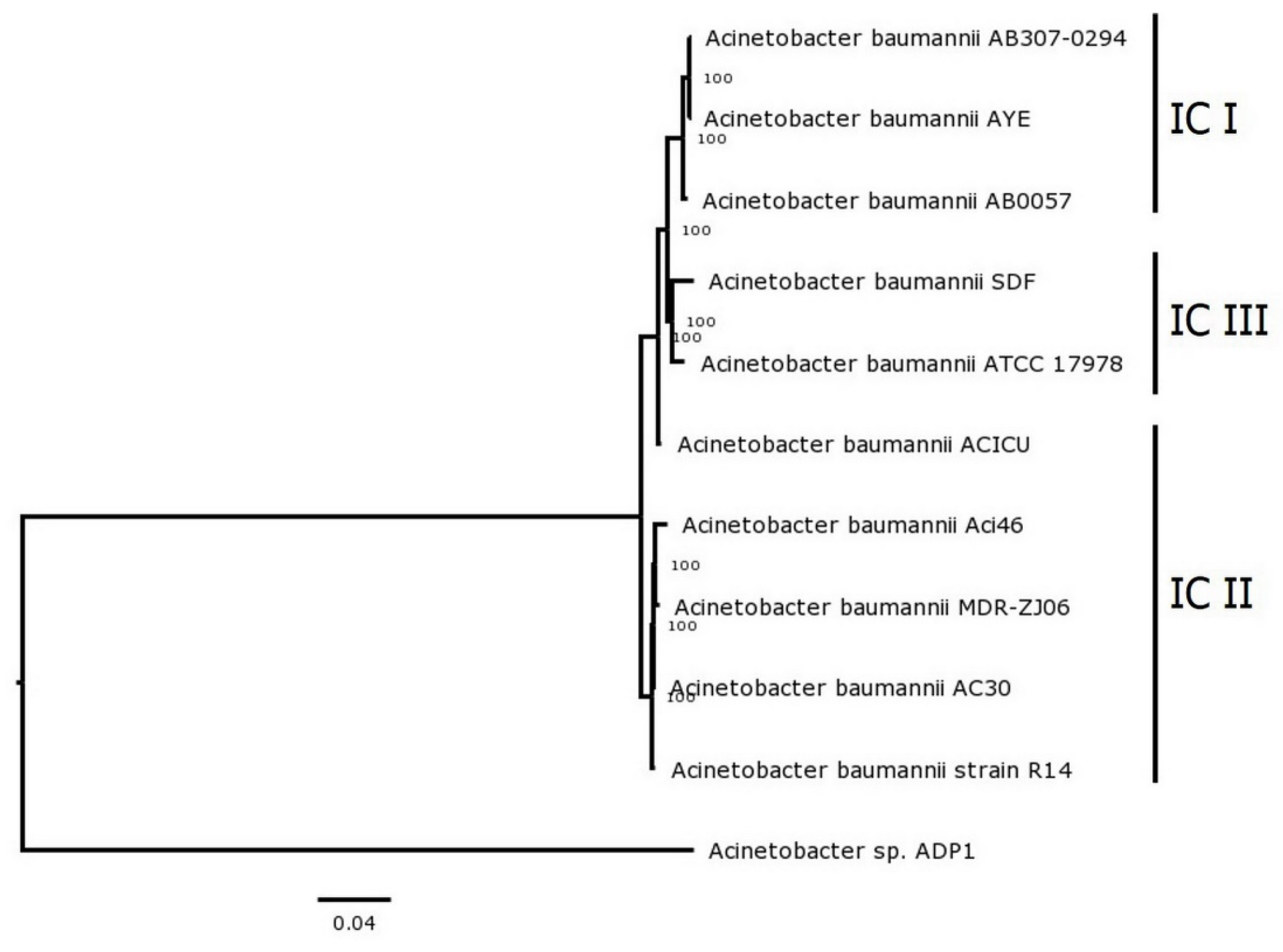 Antibiotics 10 01054 g002