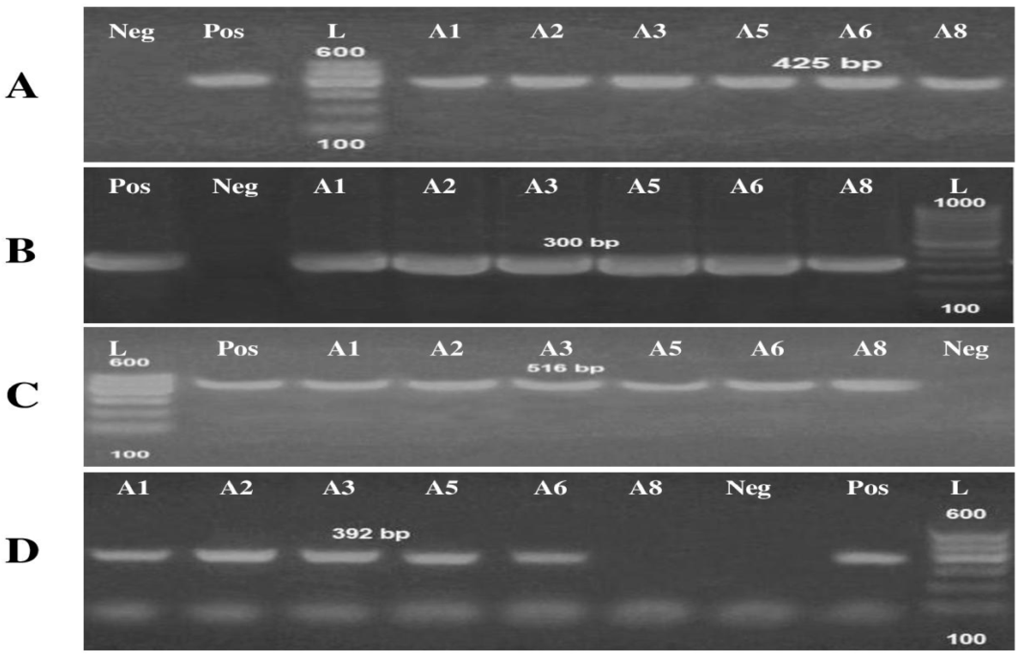 Antibiotics 10 01062 g003 Antibiotics 10 01062 g003