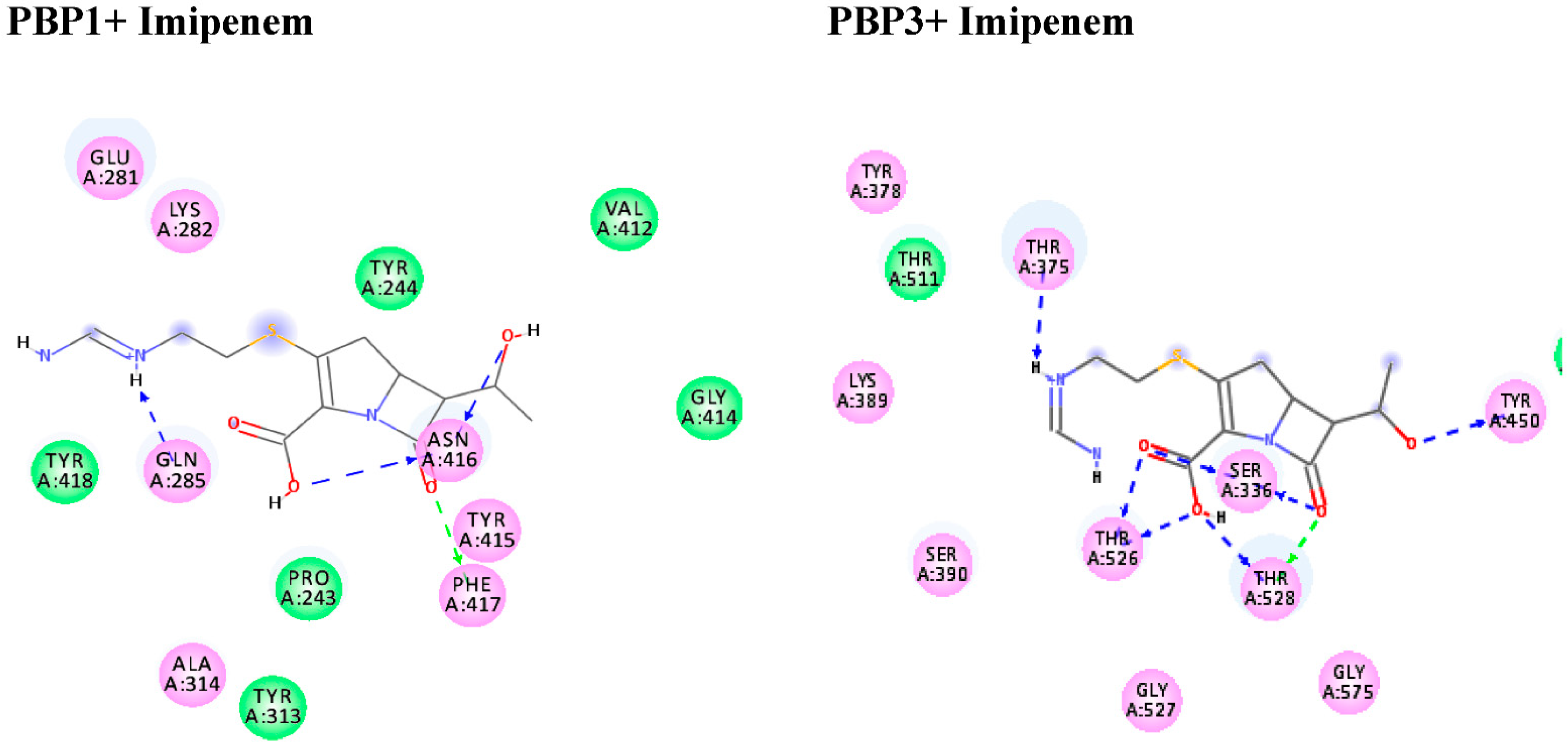 Antibiotics 10 01062 g005 Antibiotics 10 01062 g005