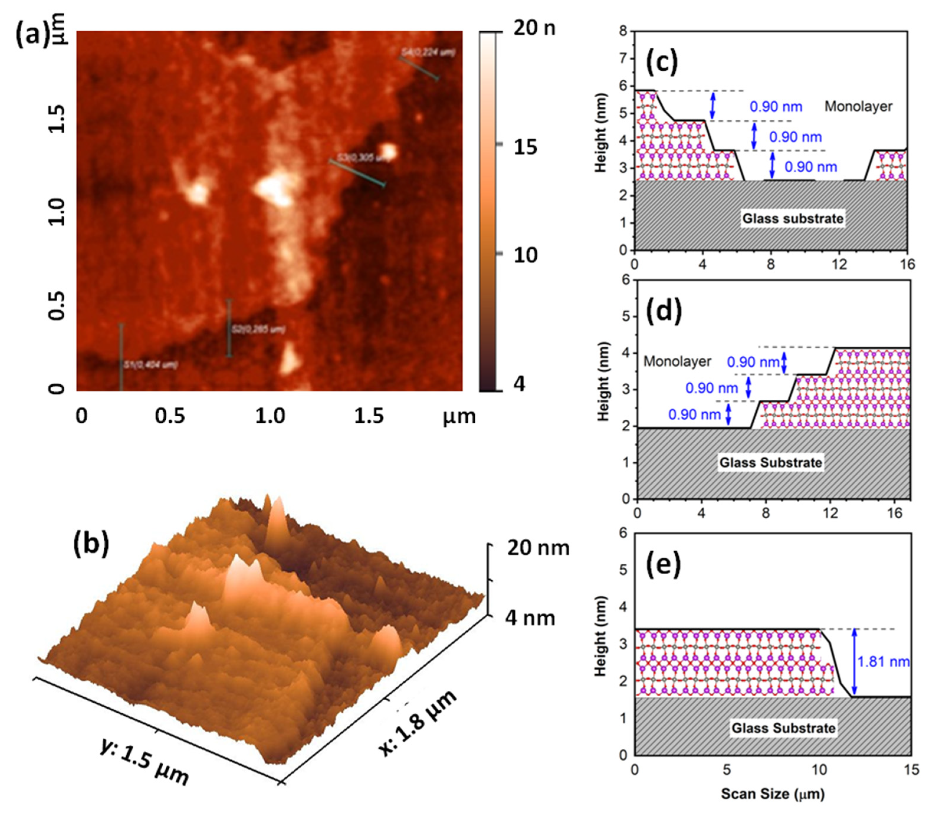 Antibiotics 10 01068 g002