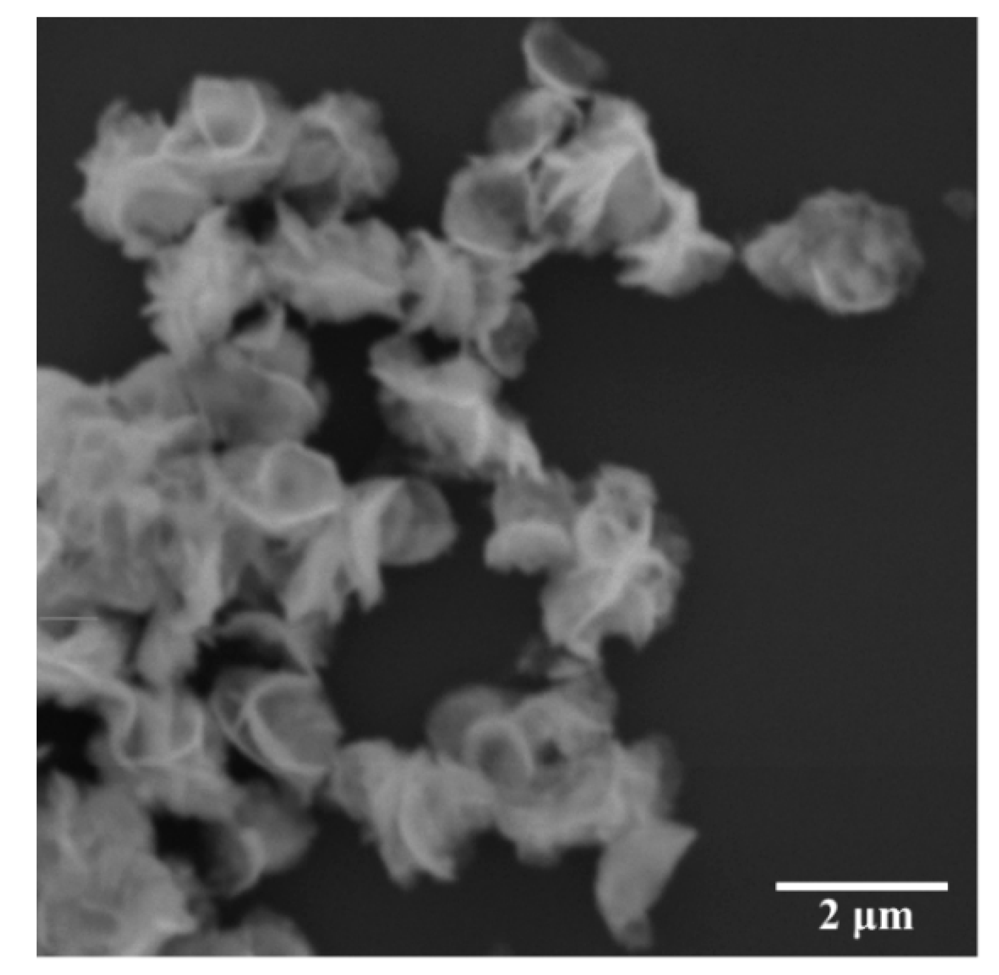 Antibiotics 10 01068 g004