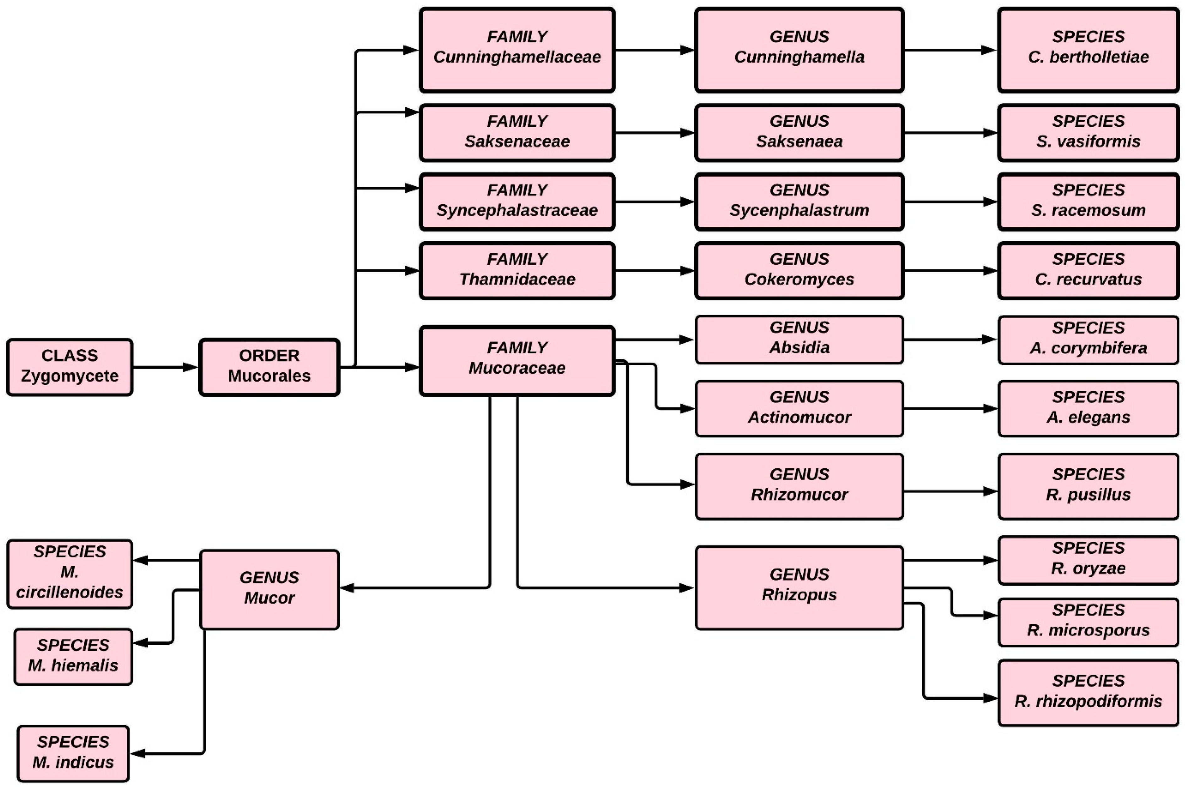 Antibiotics 10 01079 g001 Antibiotics 10 01079 g001