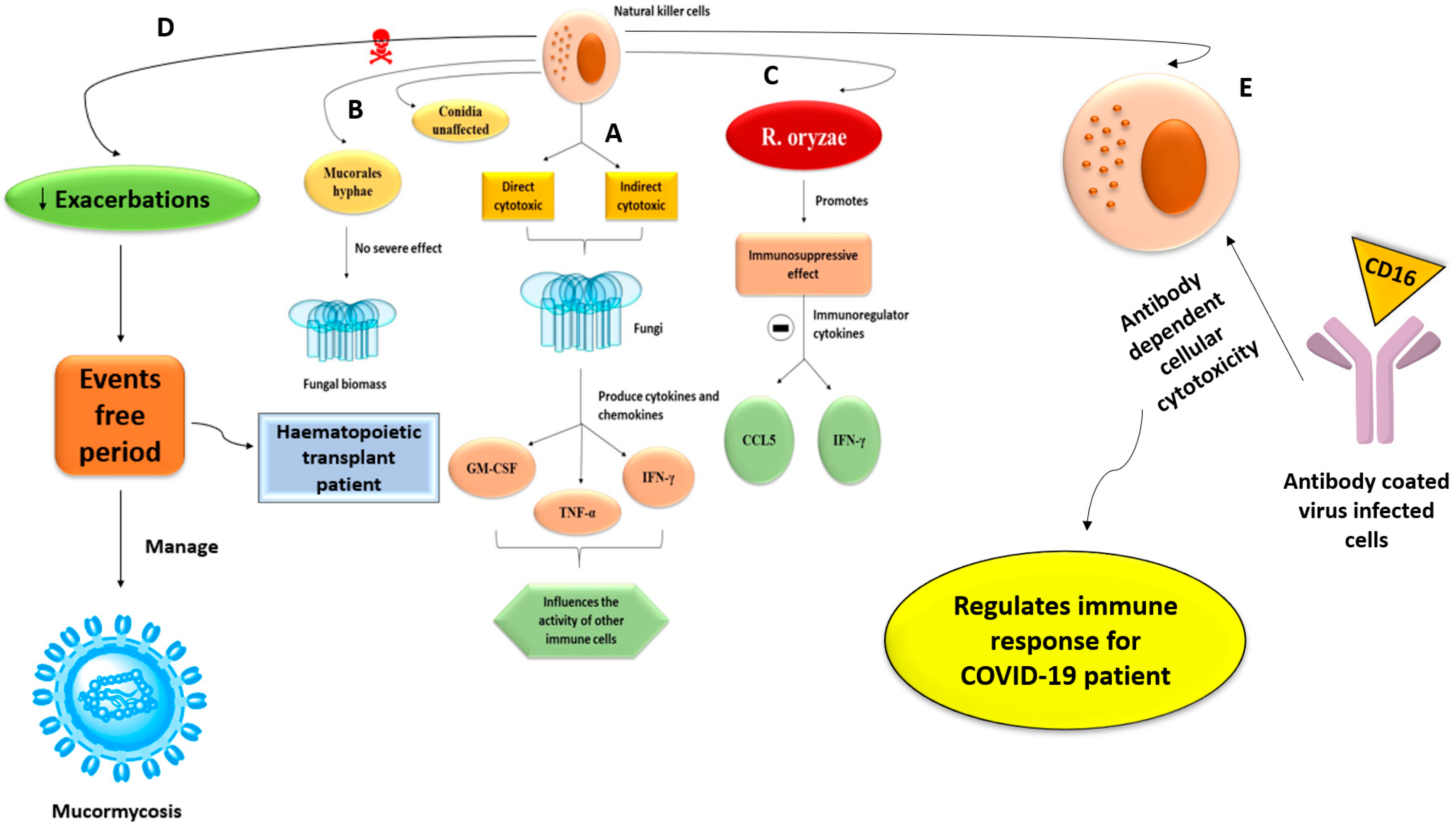 Antibiotics 10 01079 g004 Antibiotics 10 01079 g004