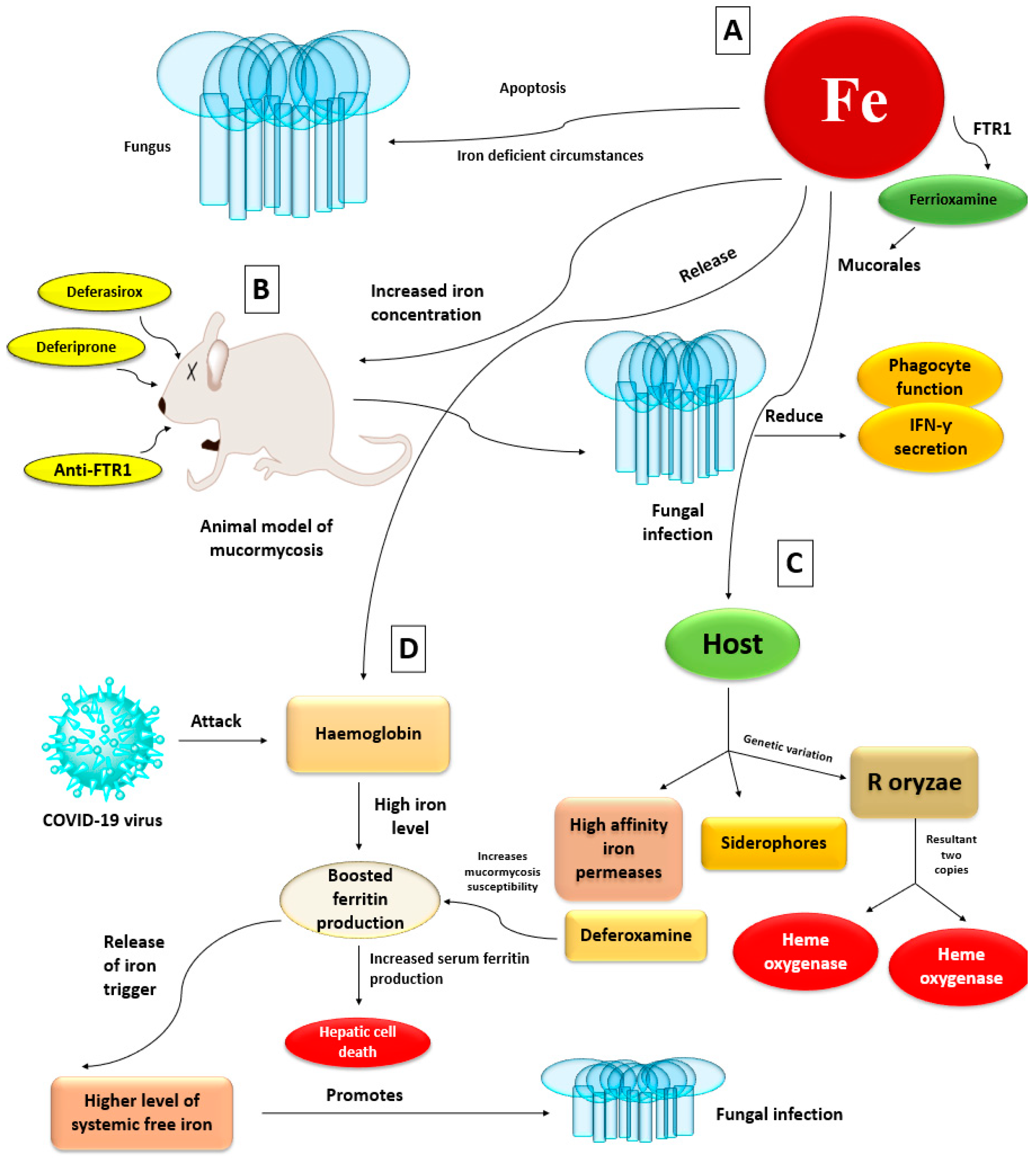 Antibiotics 10 01079 g005 Antibiotics 10 01079 g005