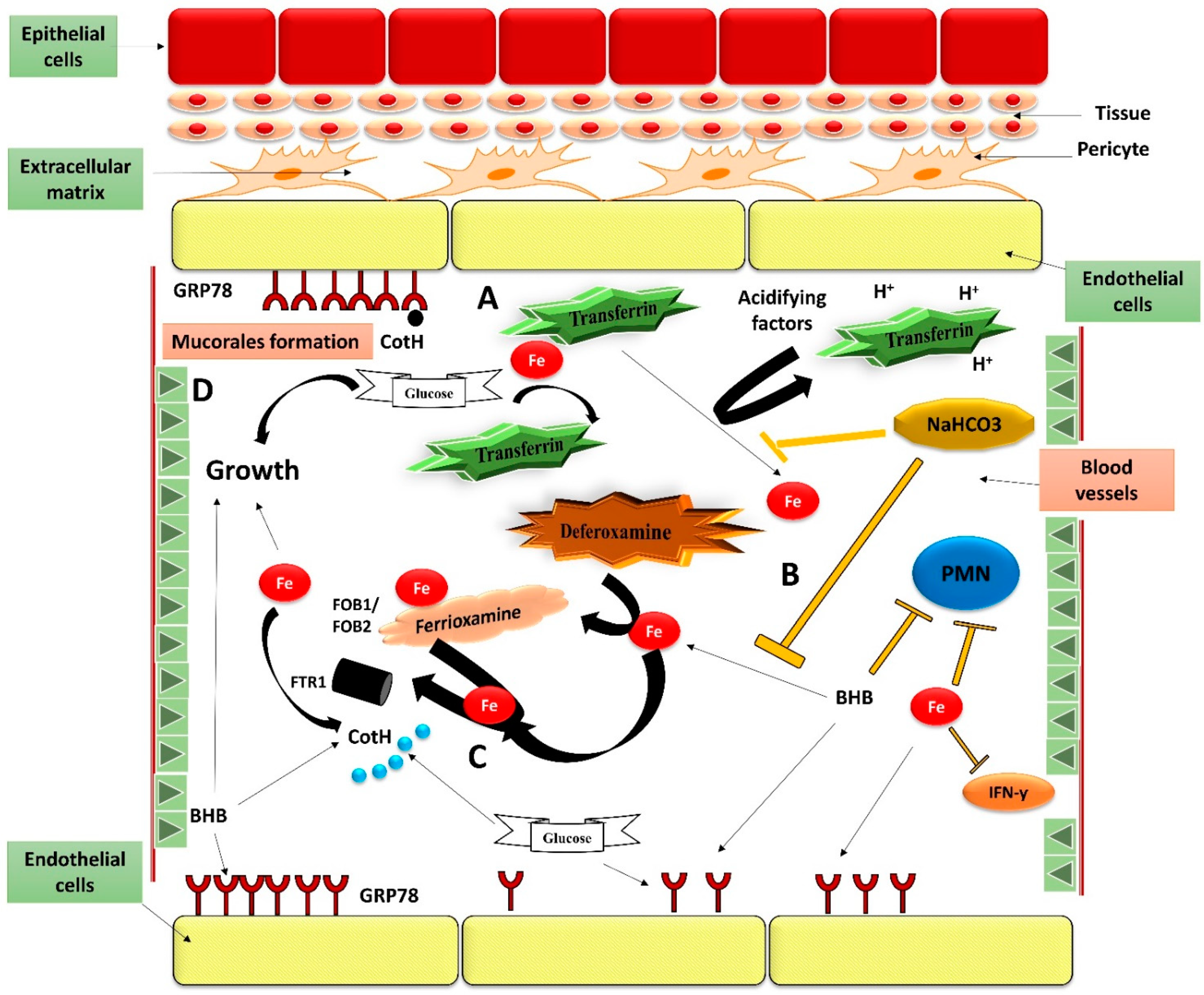 Antibiotics 10 01079 g006 Antibiotics 10 01079 g006
