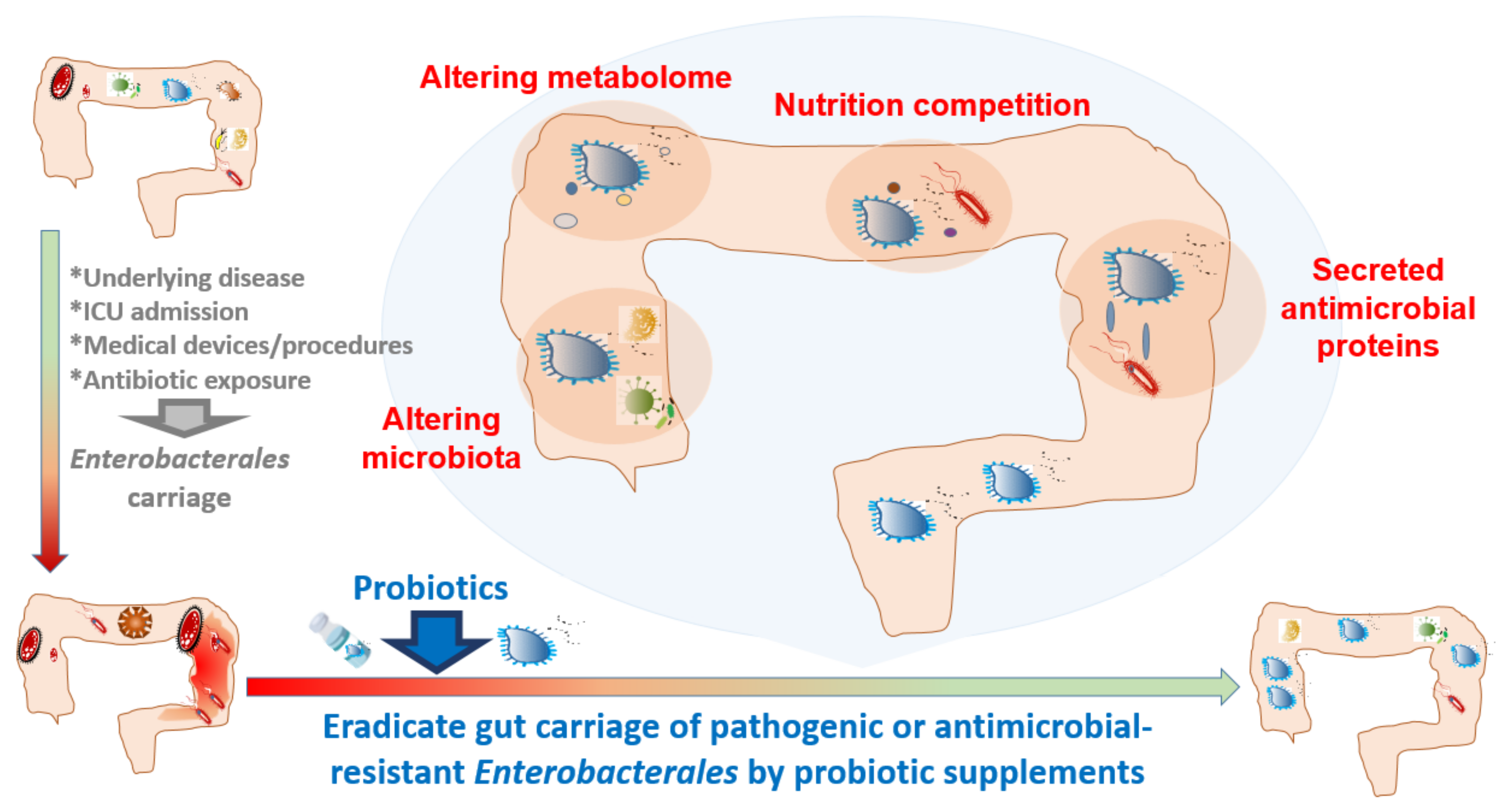 Antibiotics 10 01086 g001 Antibiotics 10 01086 g001