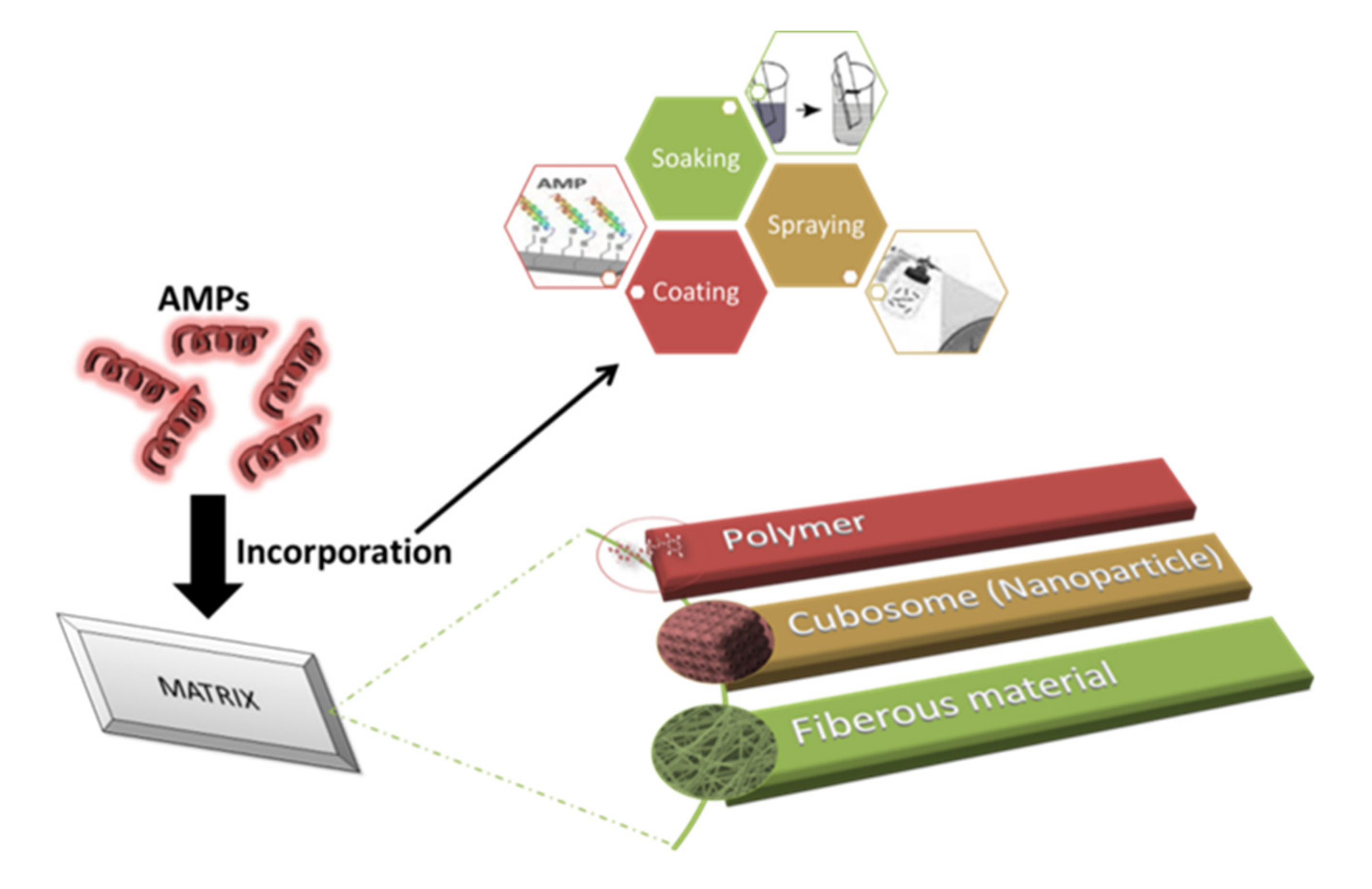 Antibiotics 10 01094 g002 Antibiotics 10 01094 g002