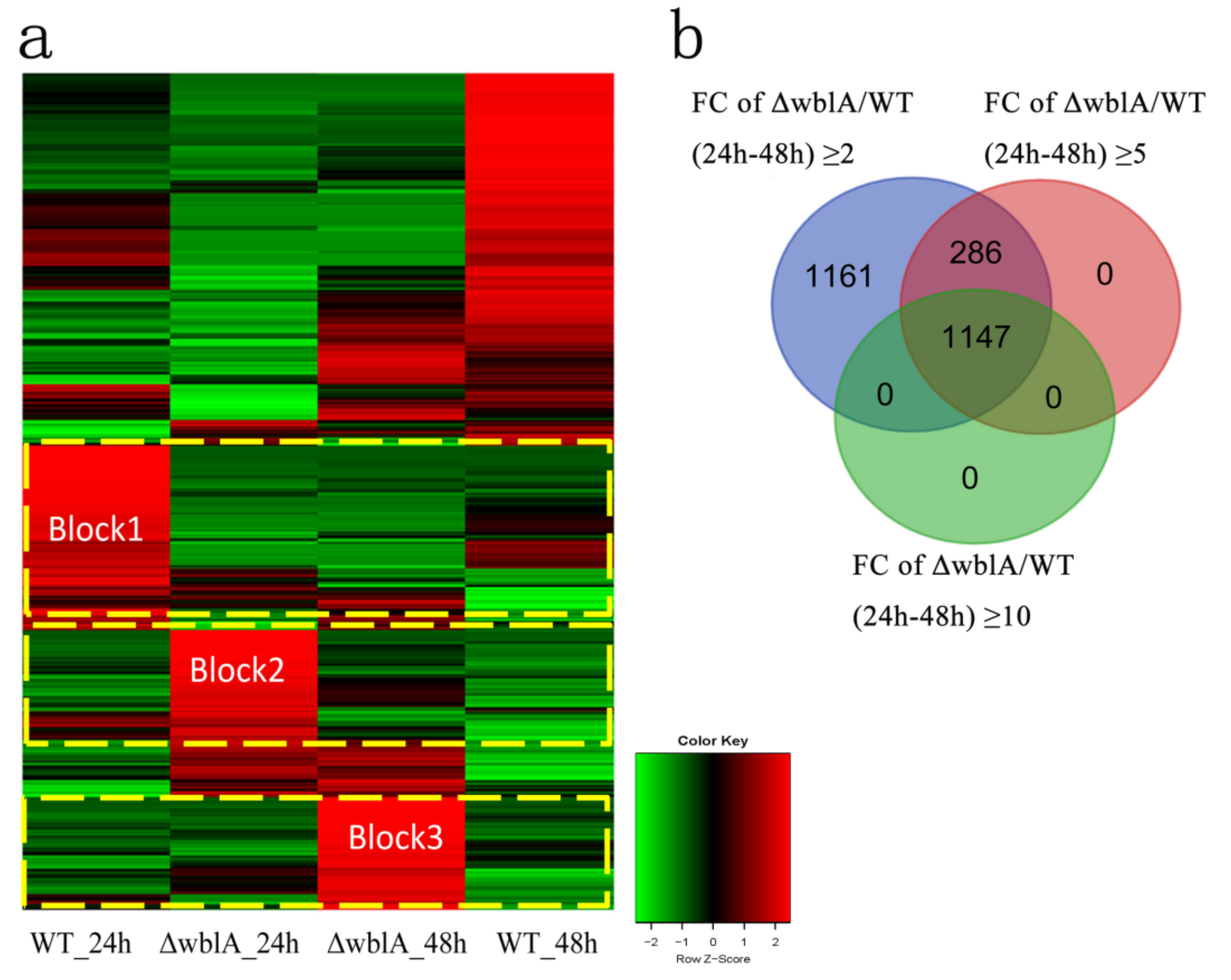 Antibiotics 10 01097 g002