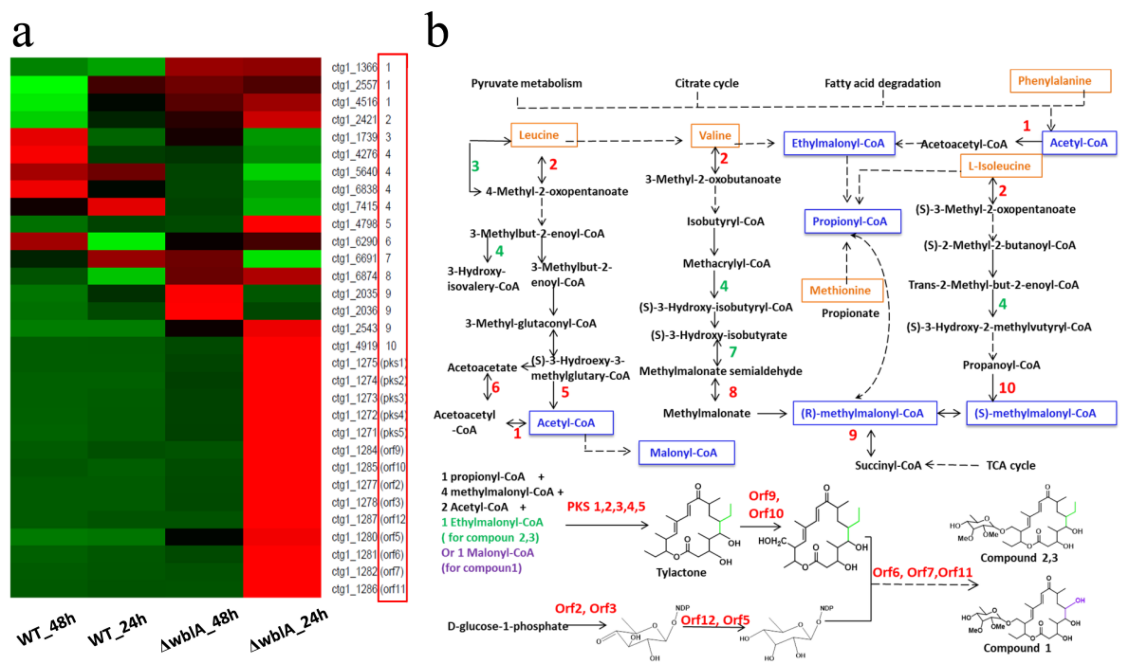Antibiotics 10 01097 g003