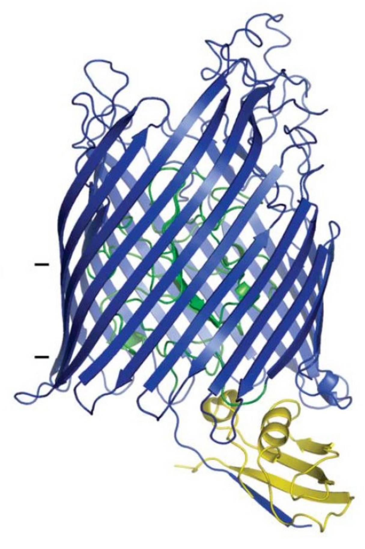 Antibiotics 10 01109 g003