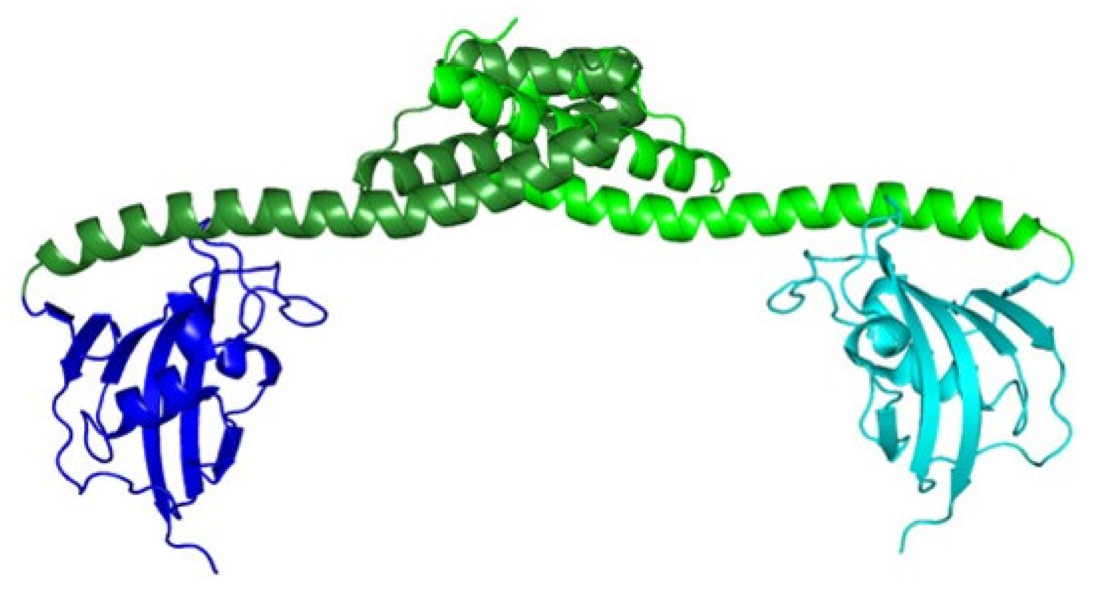 Antibiotics 10 01109 g004