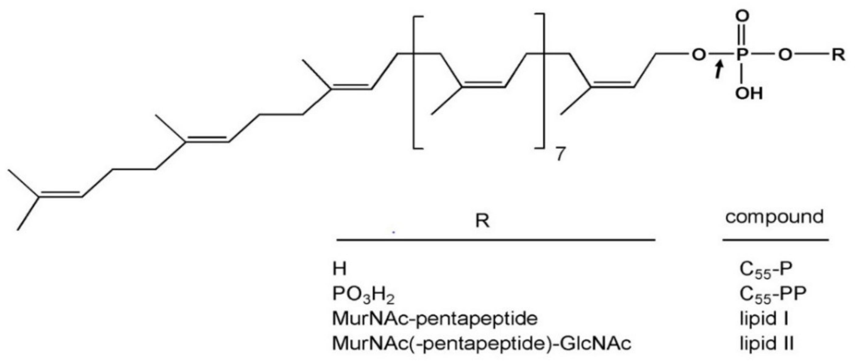 Antibiotics 10 01109 g006